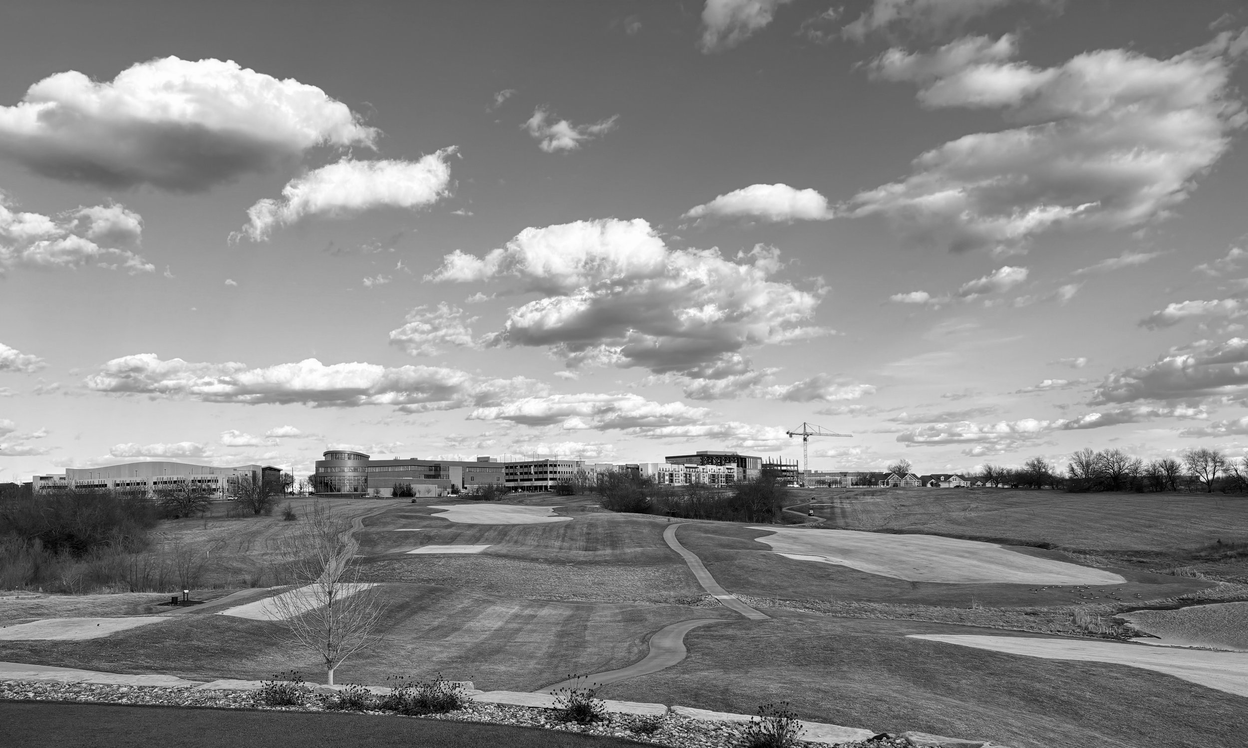 watermarkPhoto-11(9).jpeg