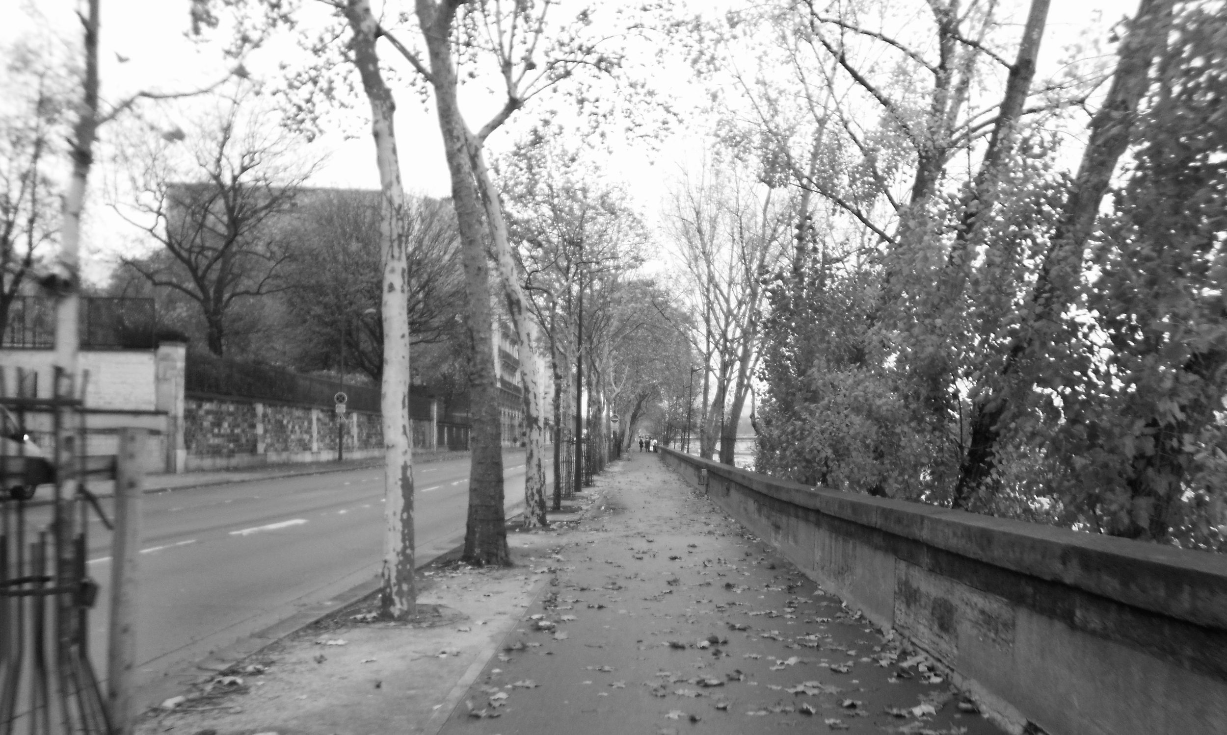 watermarkPhoto-74(9).jpeg