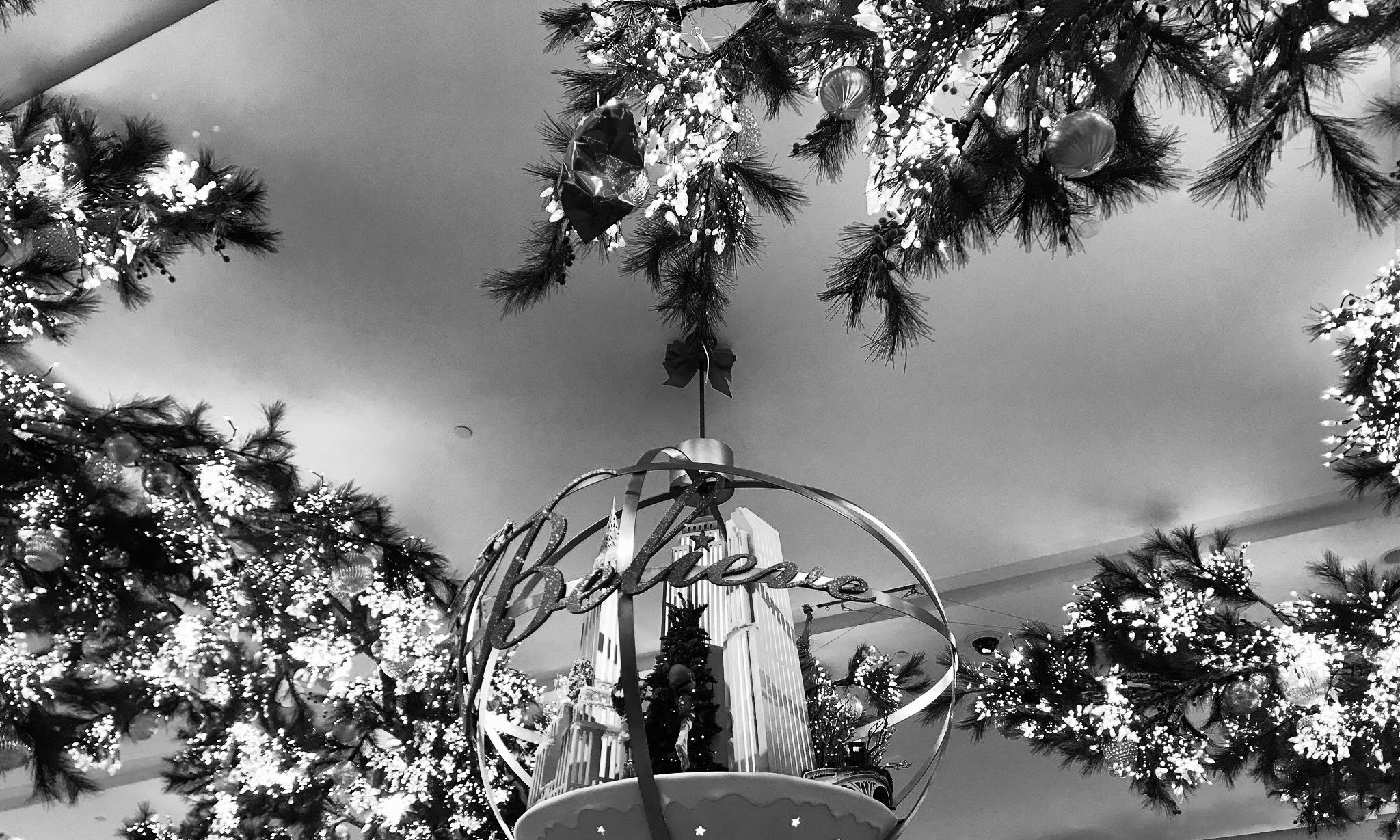 watermarkPhoto-18(8).jpeg