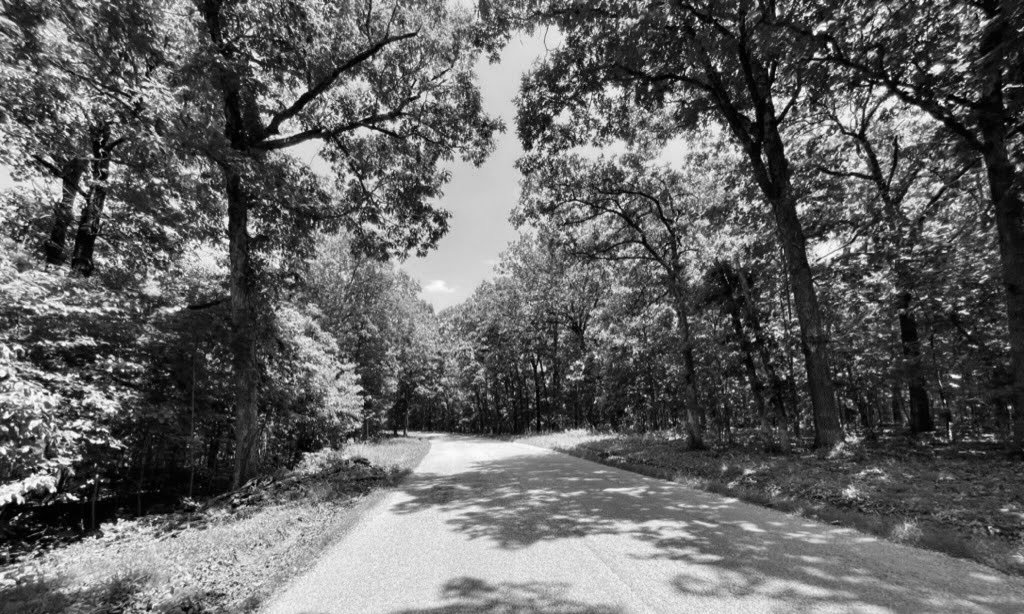 watermarkPhoto-7(10).jpeg