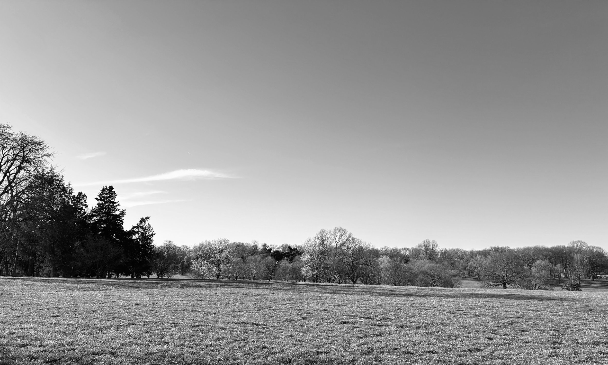 watermarkPhoto-9(7).jpeg