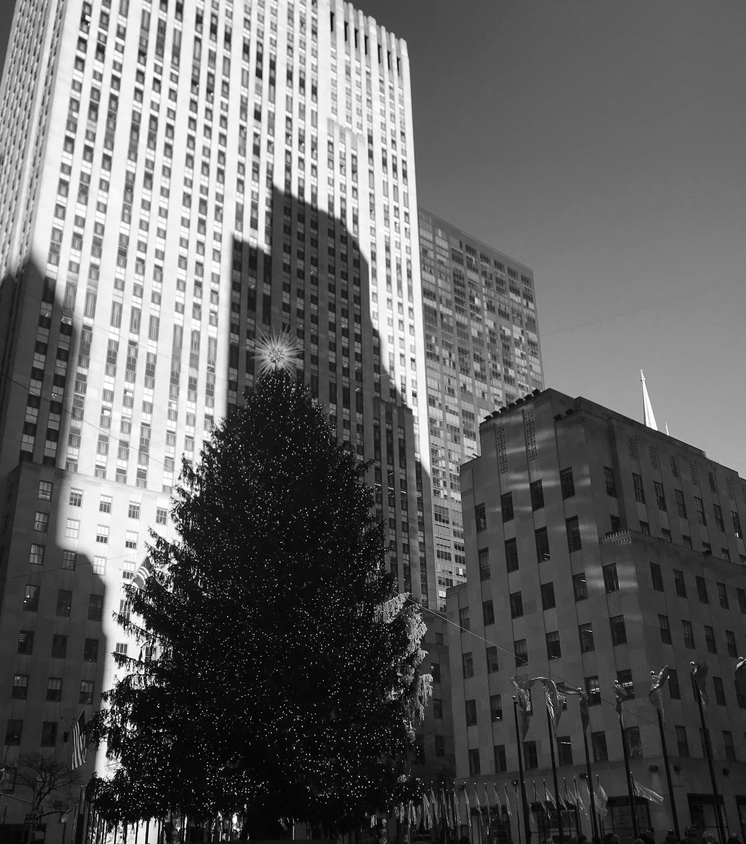 watermarkPhoto-36(10).jpeg