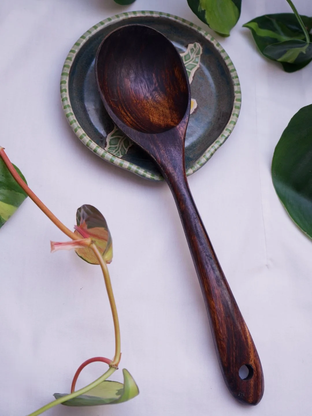 amimspoon2_1.35.1.jpg
