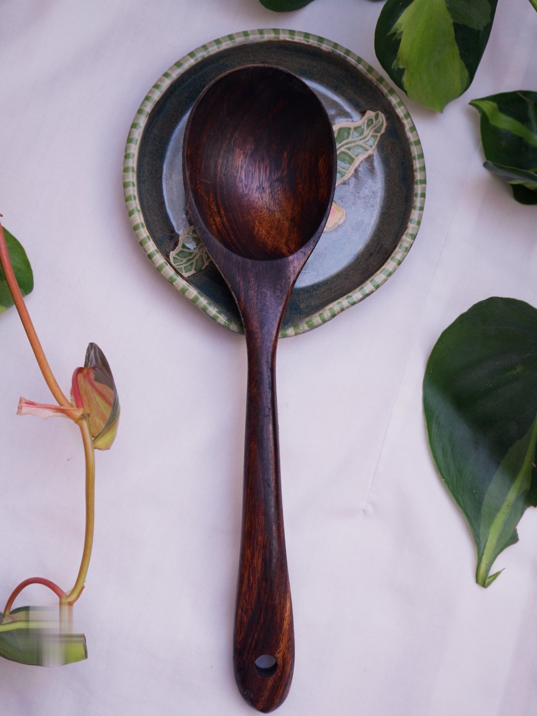amimspoon2_1.34.1.jpg