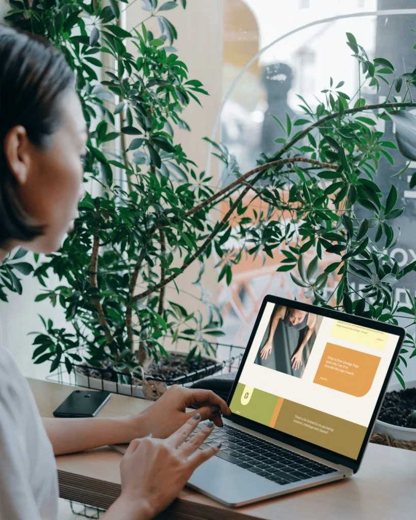 Soft curves styled throughout the site
