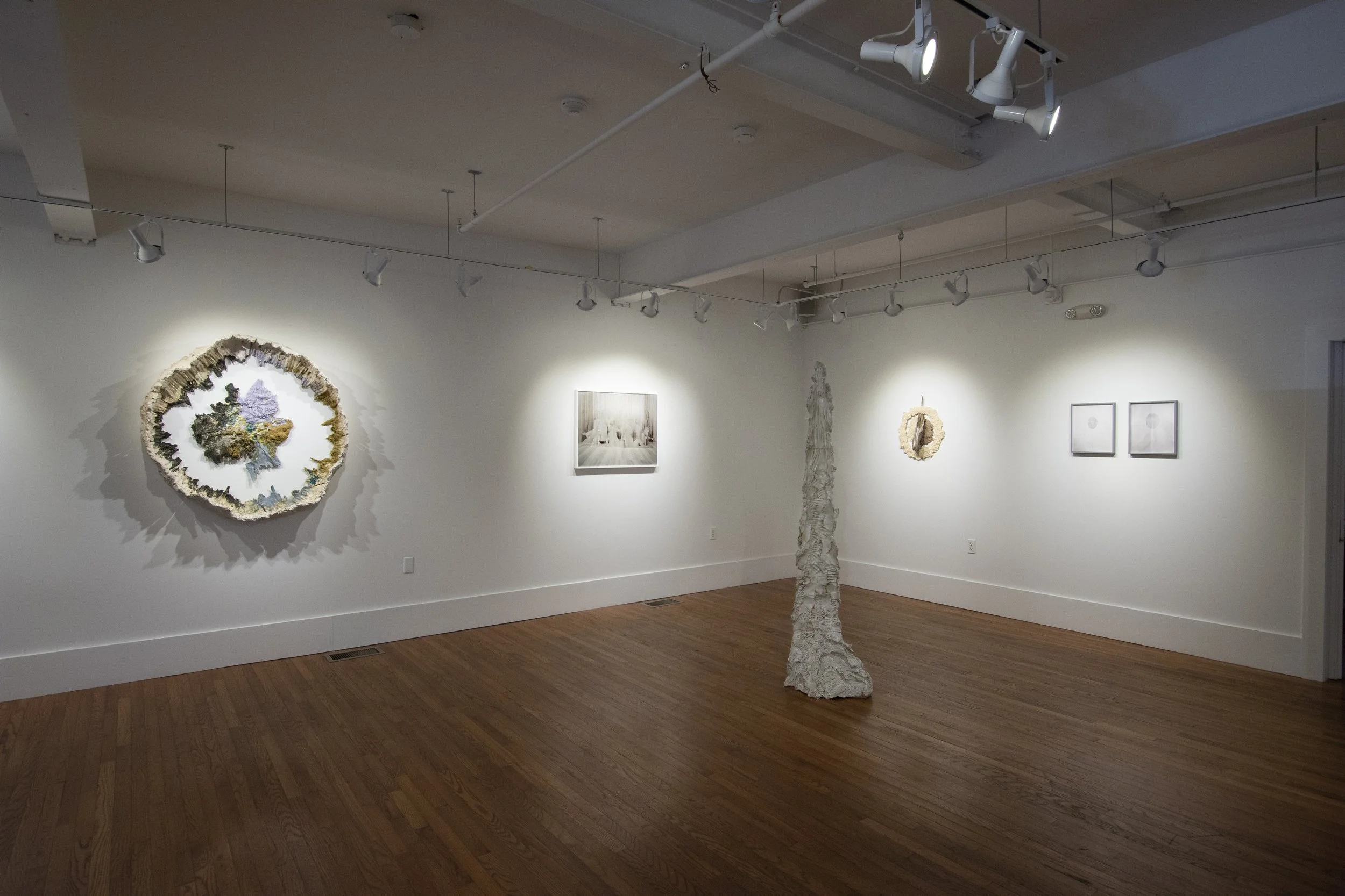Installation view,  Gina Osterloh + Brie Ruais , 2018