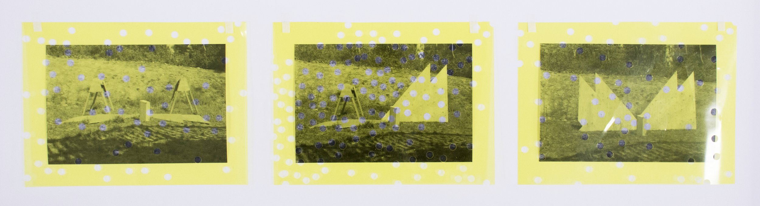  Bloom , 2016
b/w - photograph on fiber-based paper
5 1/4 x 7 1/4 in | 13.5 x 18.5 cm
9 1/2 x 28 in (framed) | 24 x 71 cm (framed)