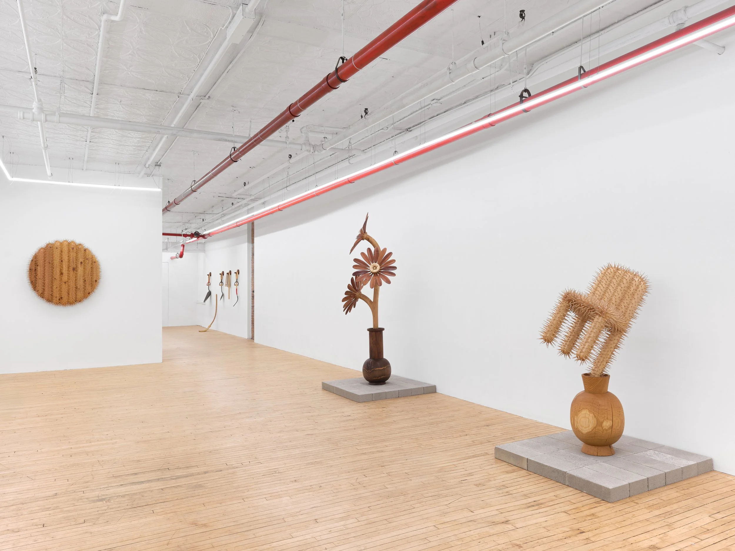 Installation view,  Between Roots , 2026