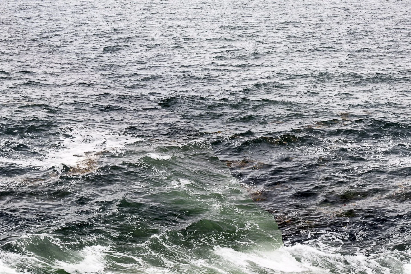  _MG_6016_2, Bailey Island, Maine , 2016
Archival inkjet print
34 x 51 in | 86 x 129.5 cm
Edition of 3 + 1 AP