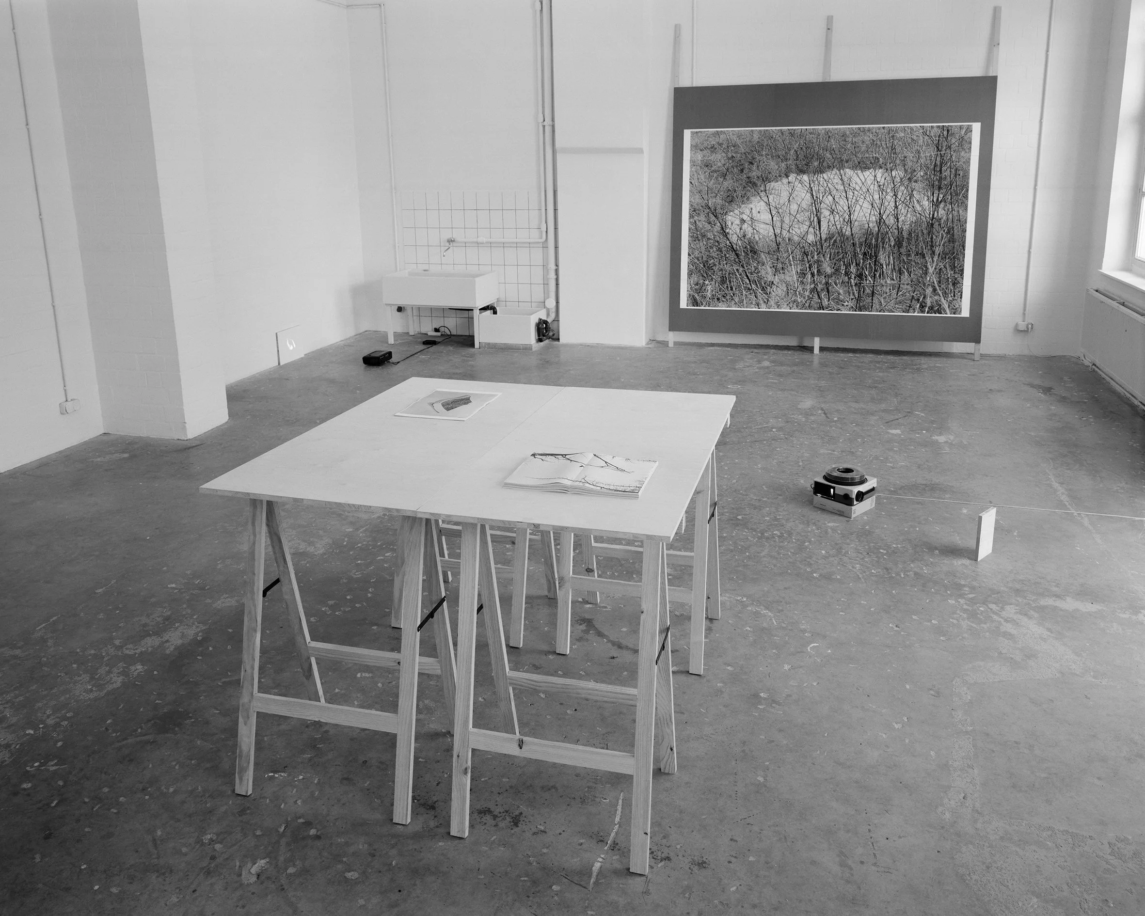 Sophia Hamann
 Installation View , 2017