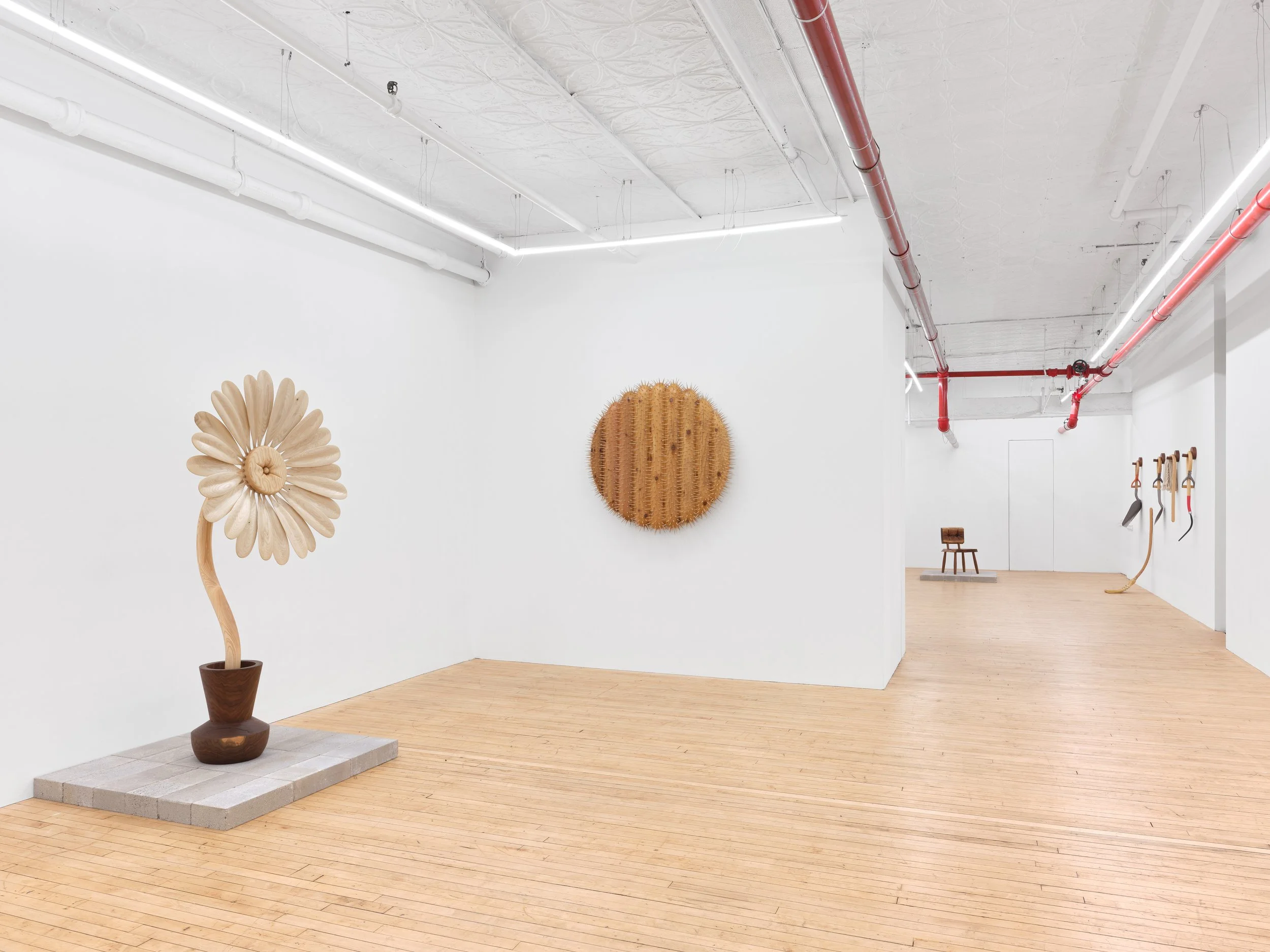 Installation view,  Between Roots , 2026