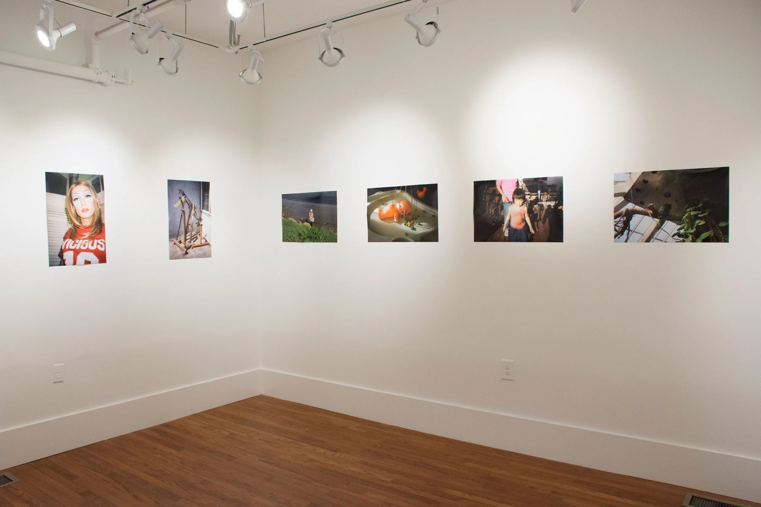 Installation view,  Pooky! , 2016