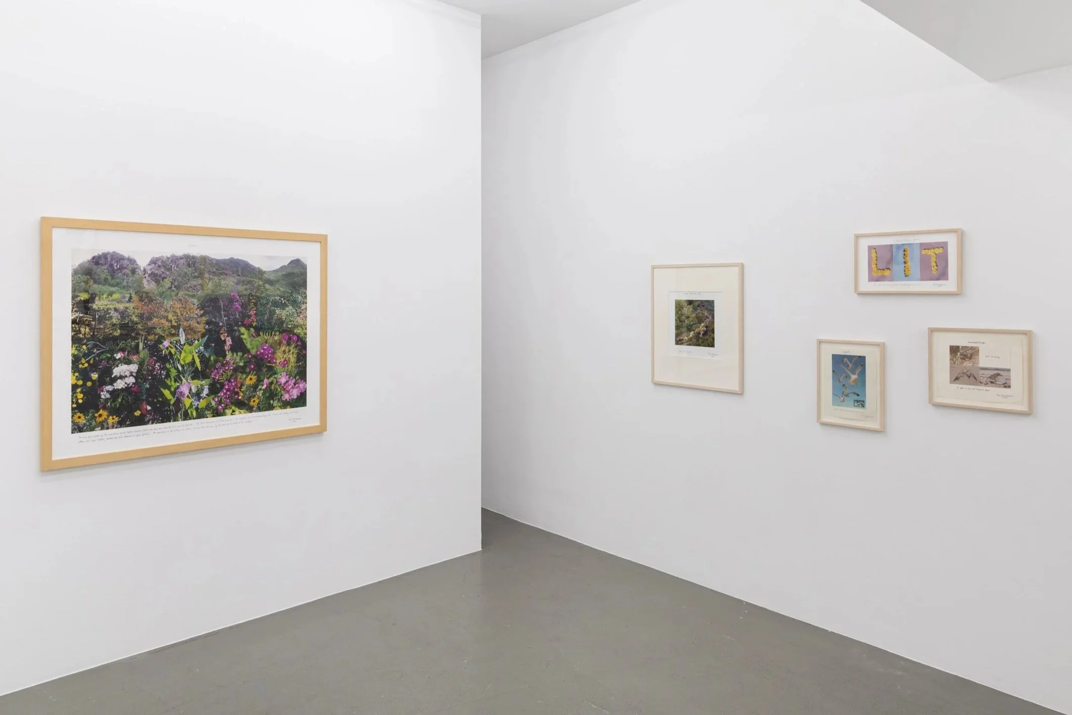 Installation view,  Summer Thrown Ropes , Gaa Cologne, Cologne, Germany, 2025