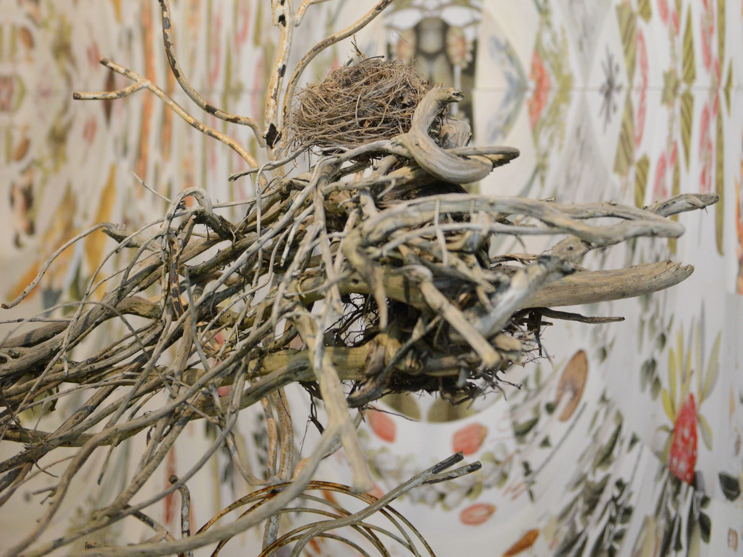  Judy Pfaff 
May 31 – July 15, 2019
Provincetown