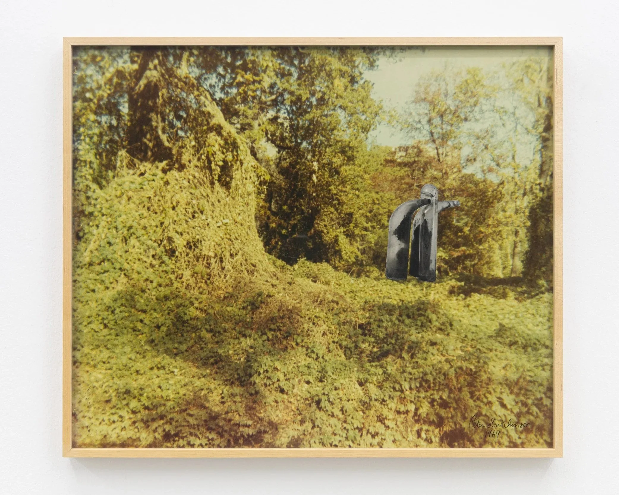  Tube Project for Bronx Botanical Gardens , 1969
Photo-collage
20 x 23 3/4 in | 51 x 60.5 cm
20 1/2 x 24 1/4 in (framed) | 52 x 61.5 cm (framed)