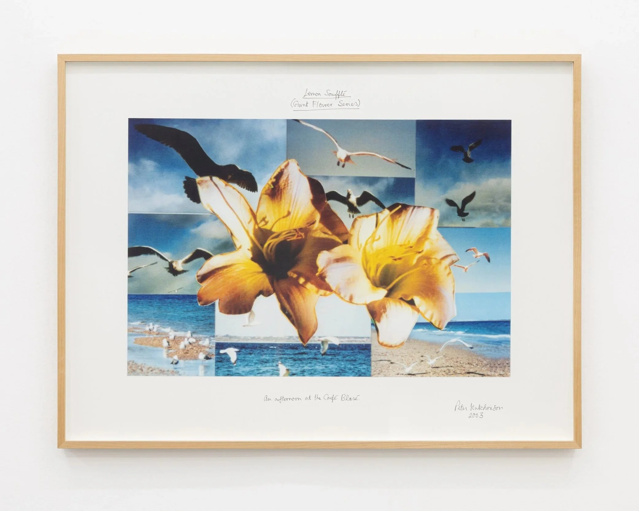  Lemon Souffle (Giant Flowers Series) , 2003
Photo-collage, ink, text on cardboard
30 3/4 x 40 1/2 in (framed) | 78 x 103 cm (framed)