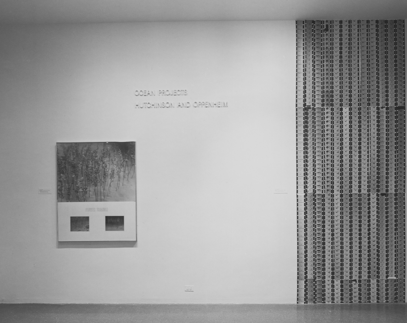 Installation view,  Ocean Projects: Hutchinson and Oppenheim , MoMa, New York, NY, 1969