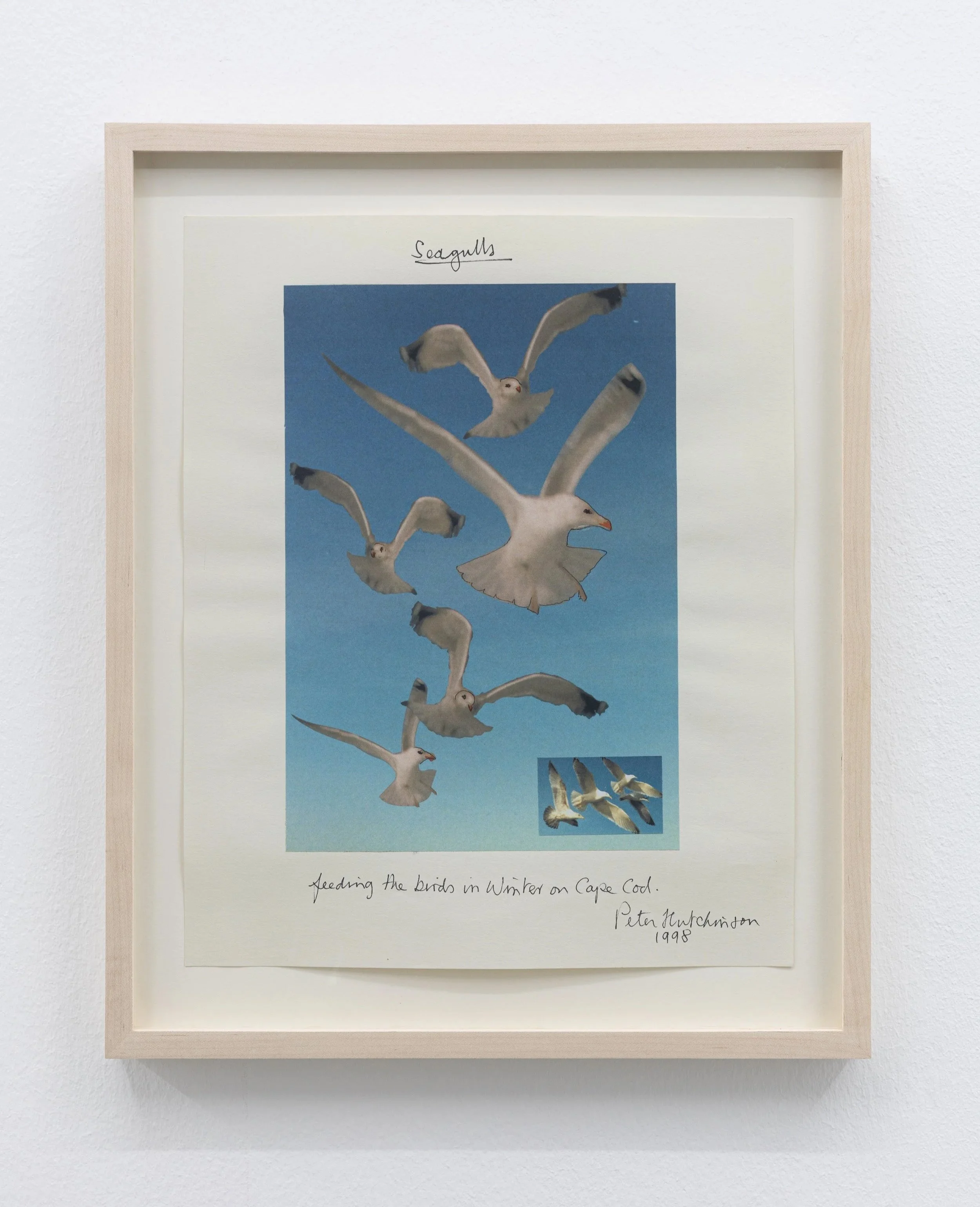  Seagulls , 1998
Photo-collage, ink, text on cardboard
13 1/2 x 11 in | 34.5 x 28 cm