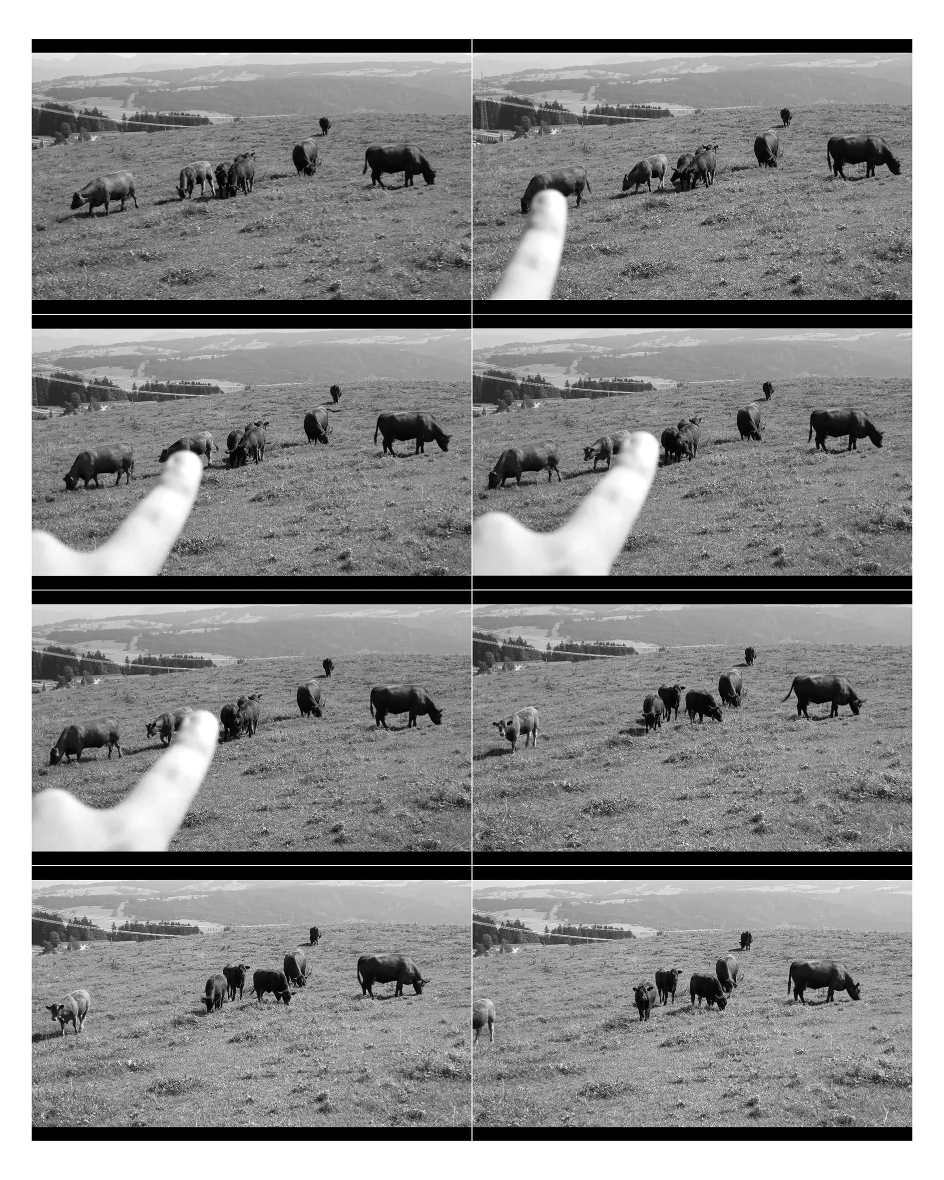 Marcello Ragone
 FILM STILL 40 / 63
MARCELLO RAGONE , 2013 –
COLLECTION OF 63 VIDEOS, 22:23 MIN
SEQUENCE 40 / 63, 0:12 MIN