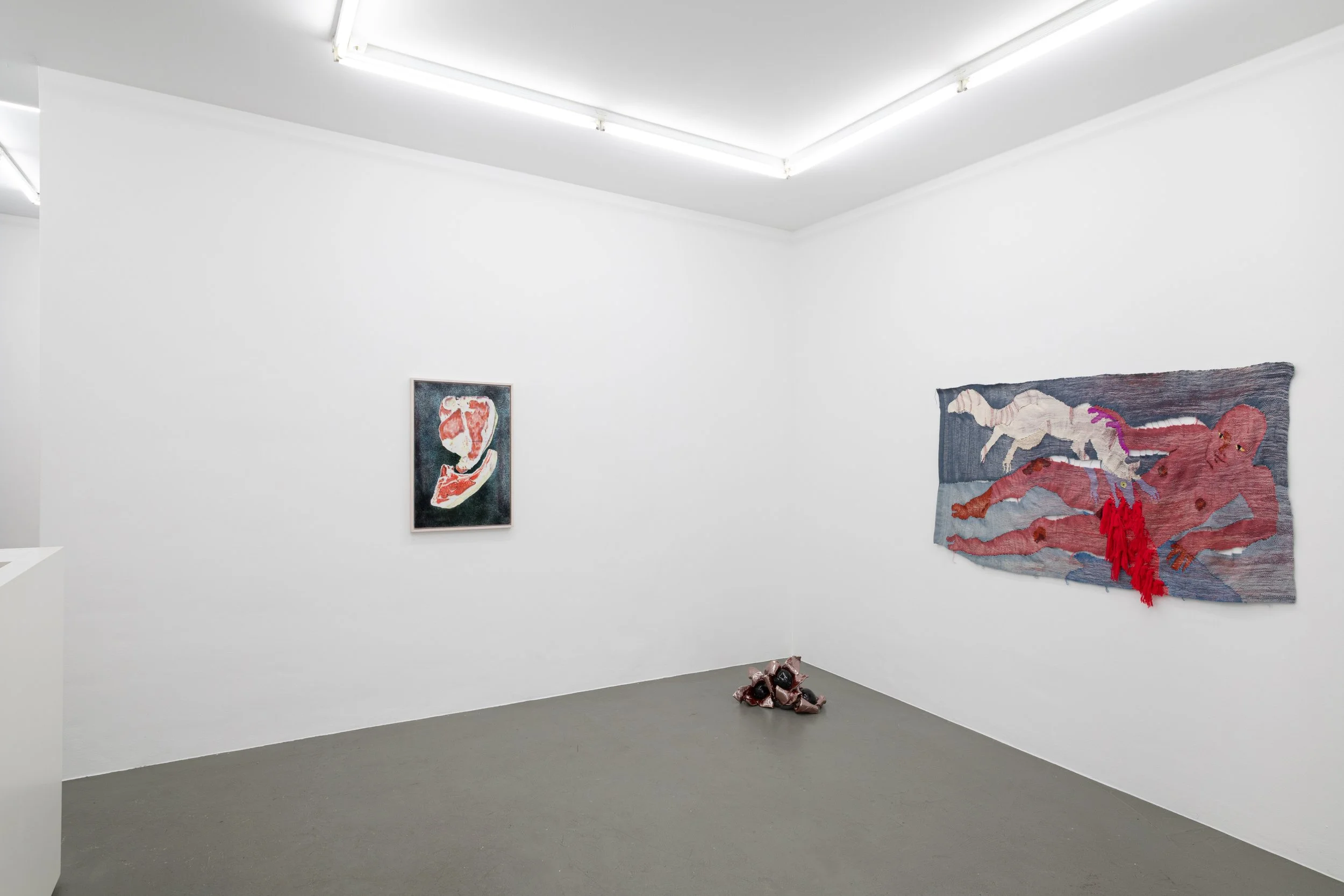 Installation view,  Soft Storage , 2026