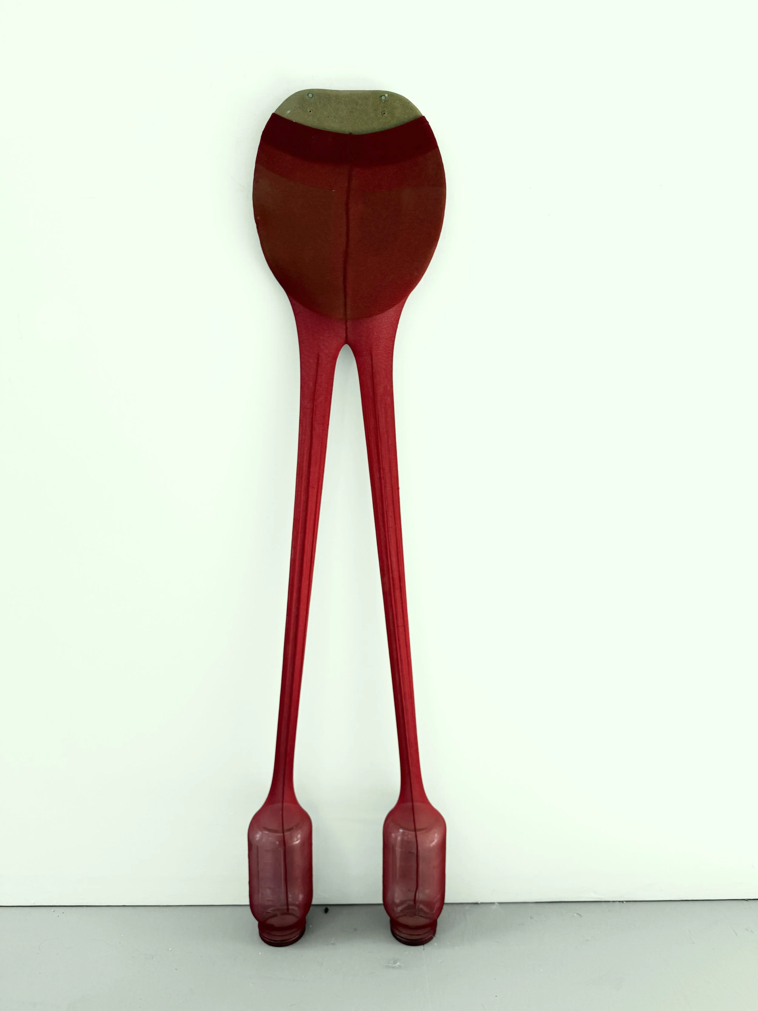  Lady in Red , 2024
Canning jars, stockings, and toilet seat cover
53 x 13 x 5 in | 134.5 x 33 x 13 cm