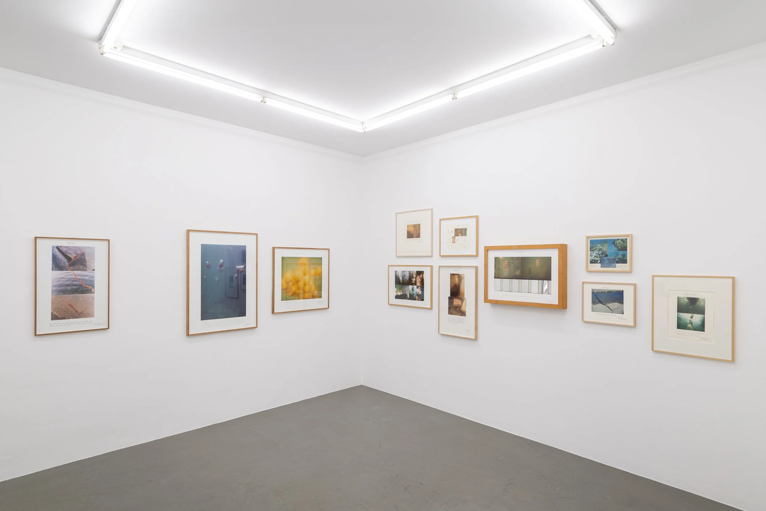 Installation view,  Summer Thrown Ropes , 2025