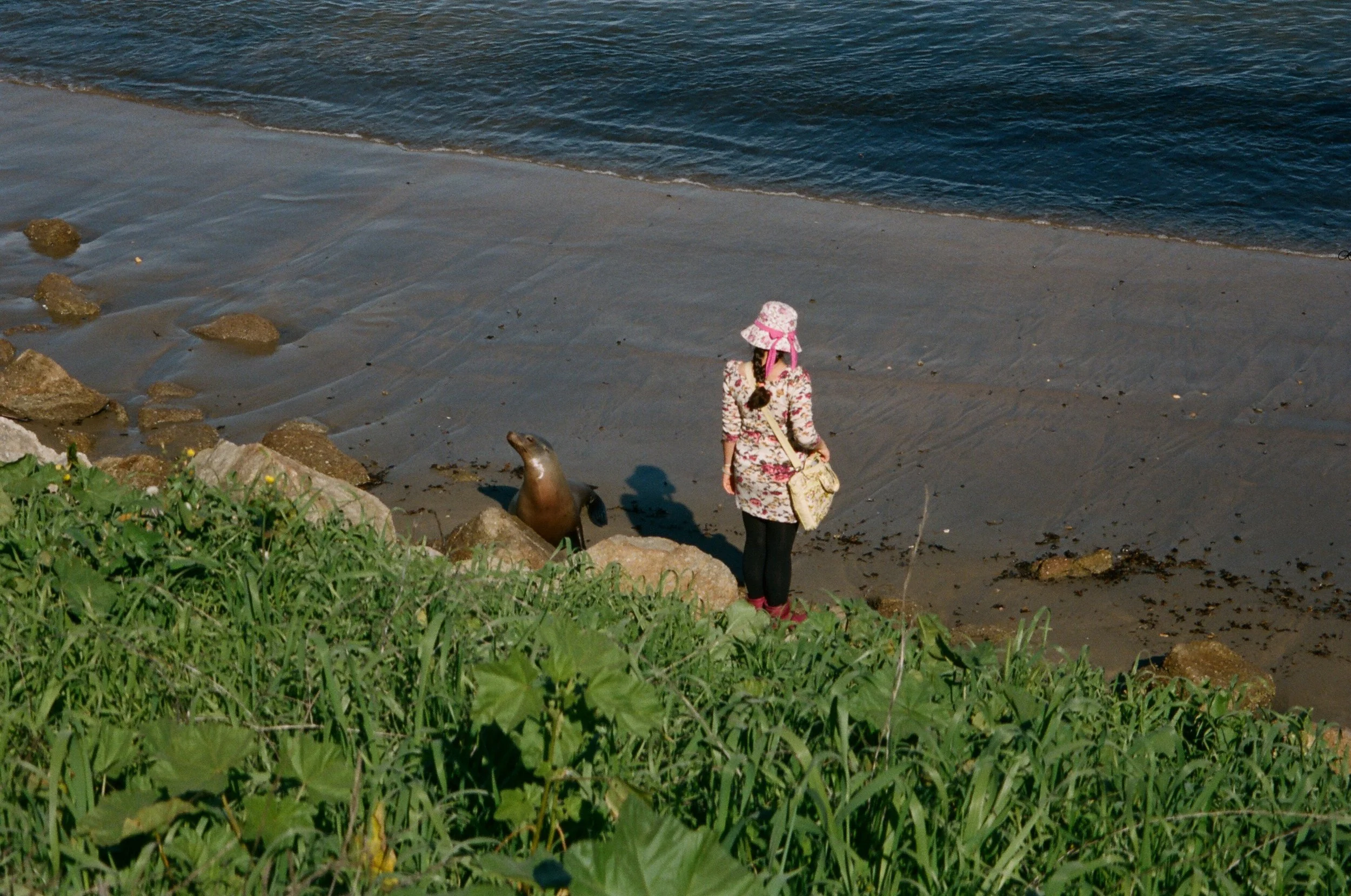  Untitled , 2015
Inkjet print
16 x 24 in | 40.5 x 61 cm