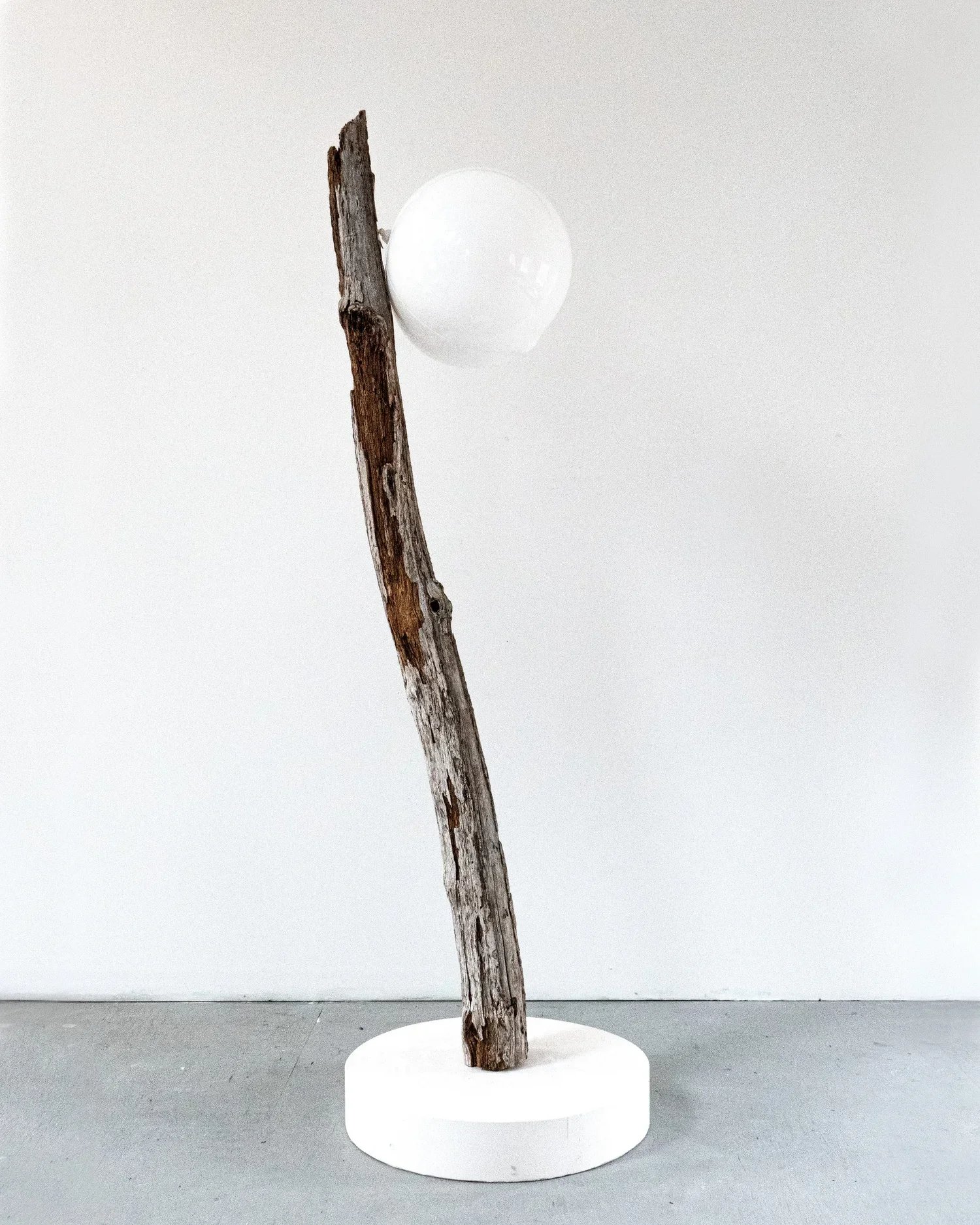  Untitled (Tree Breath from This Body is a Tree) , 2022 
Tree branch, balloon, and plaster