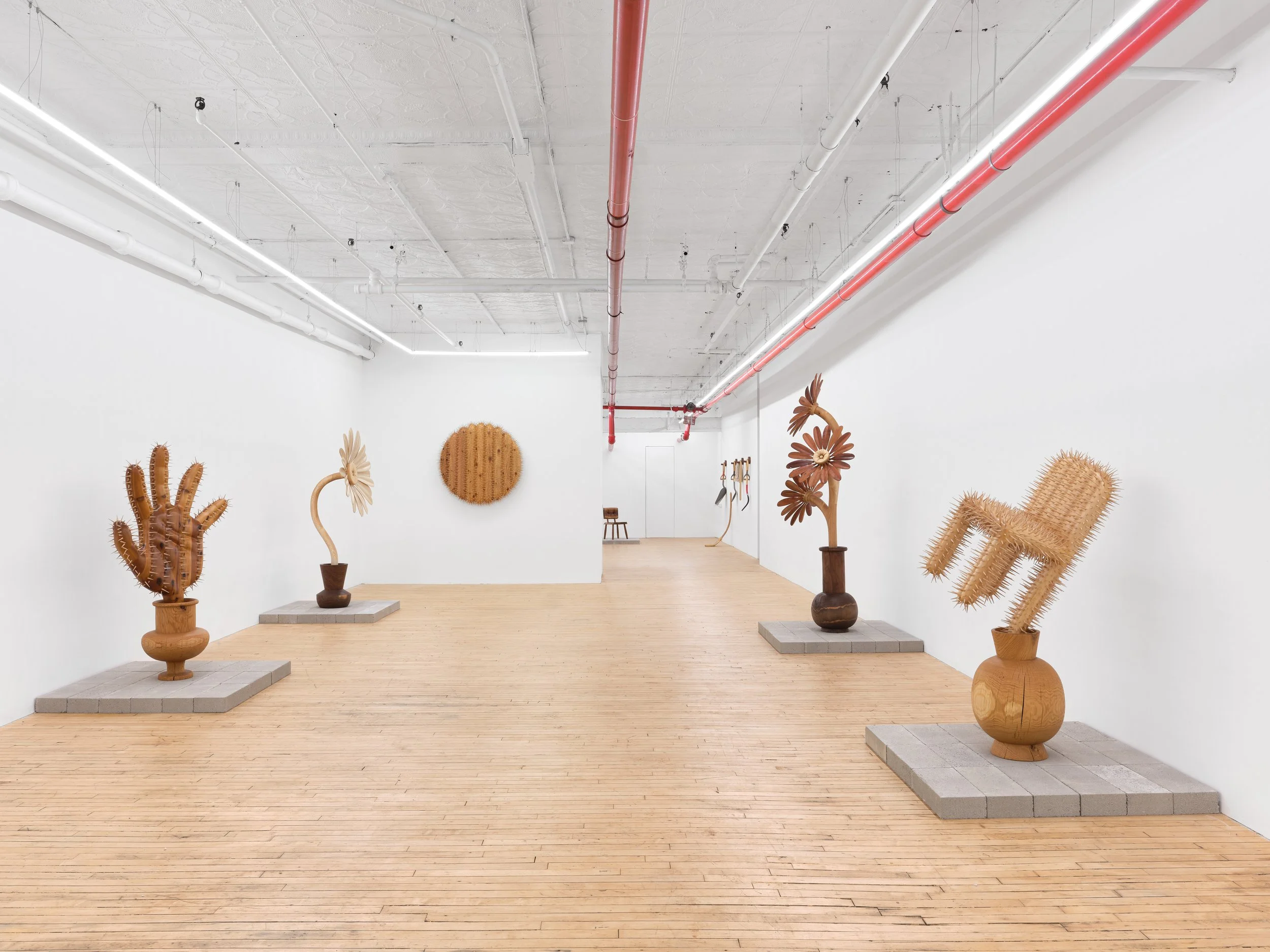 Installation view,  Between Roots , 2026