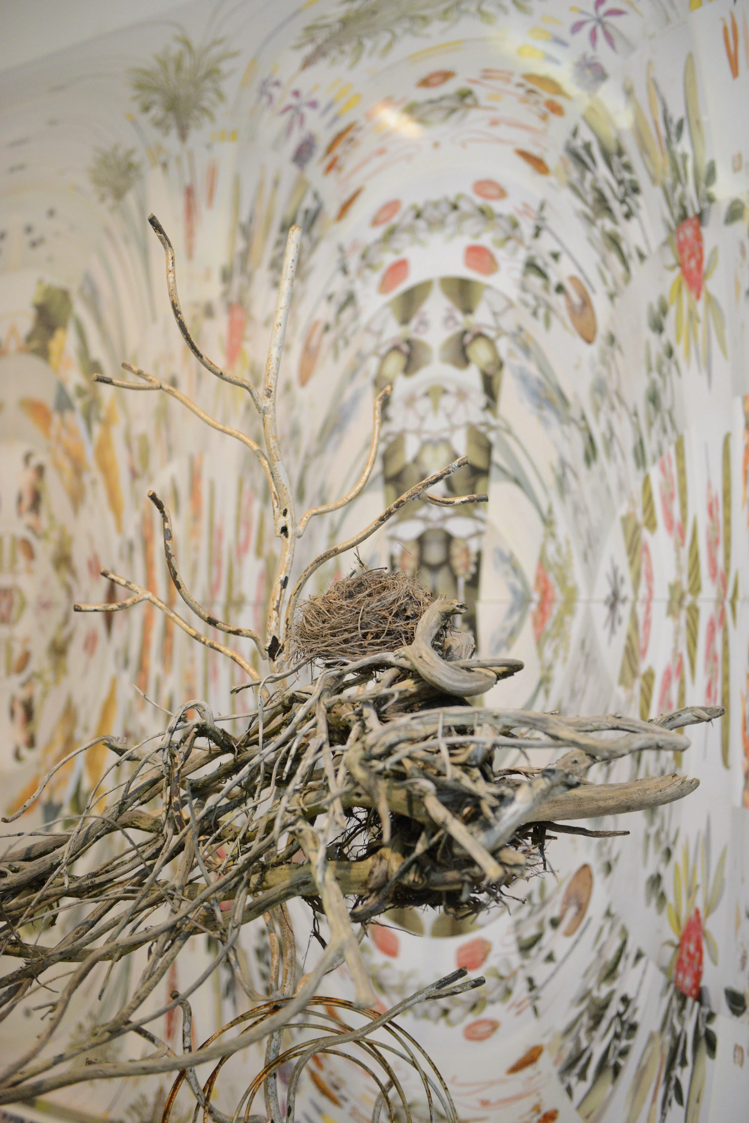  Untitled , 2019
Bird nests, steel, wire, roots, glass, acrylic, photographic inspired digital image on MDF