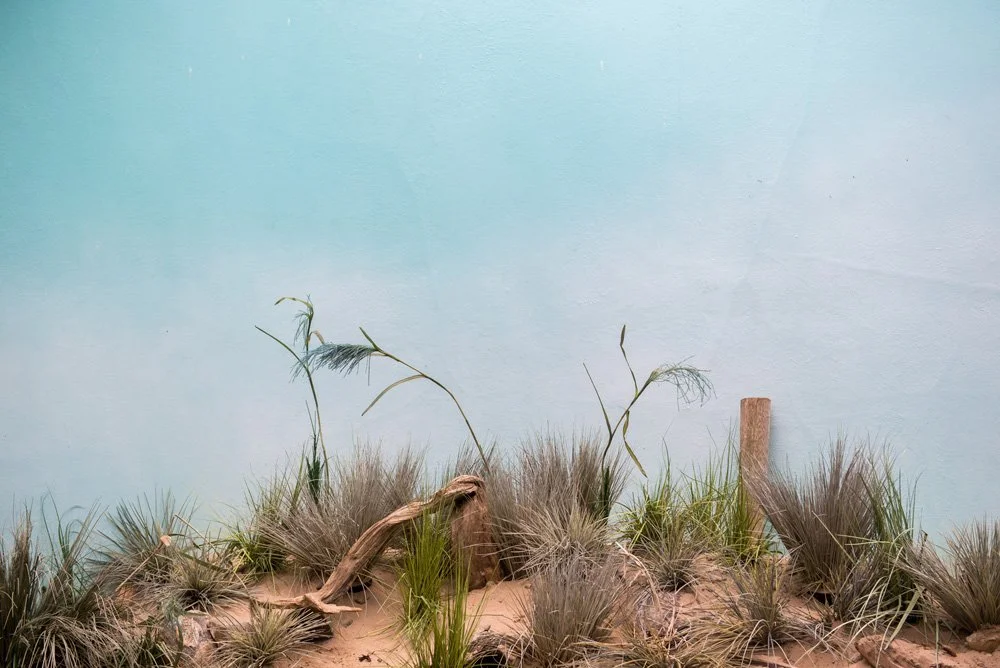  Untitled , 2016
Archival inkjet print
Dimensions variable