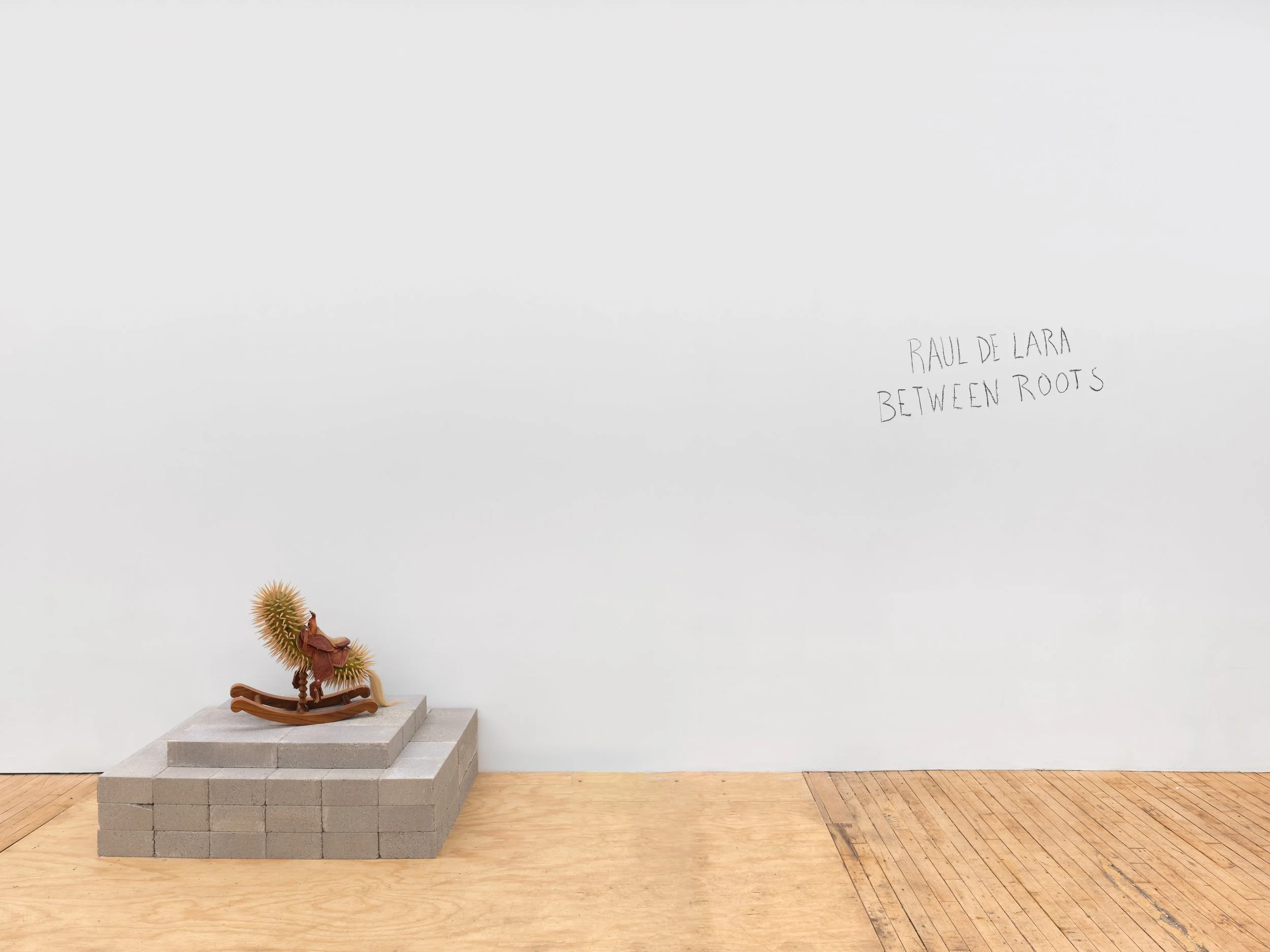 Installation view,  Between Roots , 2026