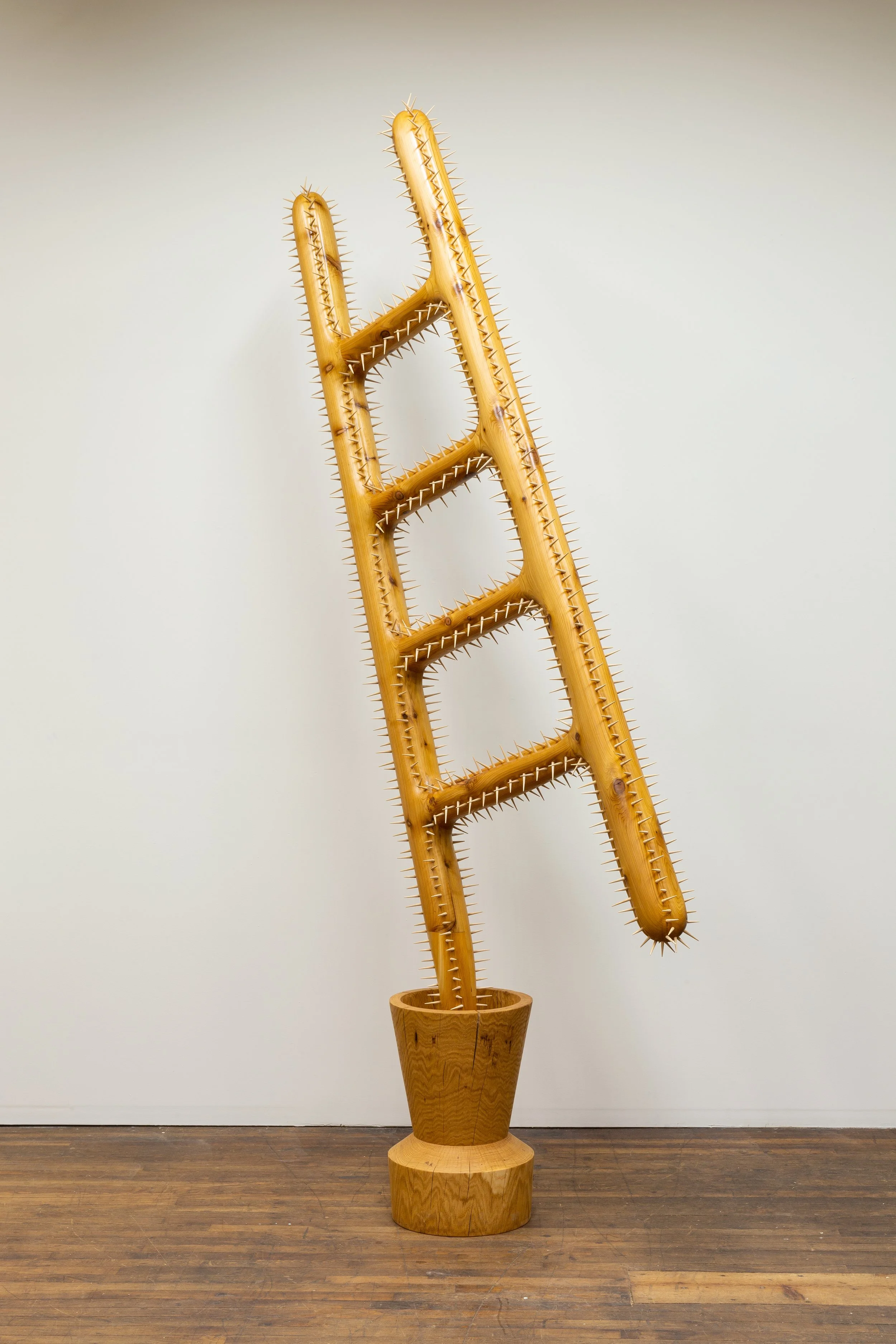  La Escalera , 2025
Cedar, hemu, oak
122 x 16 x 57 in | 310 x 40.5 x 144.5 cm