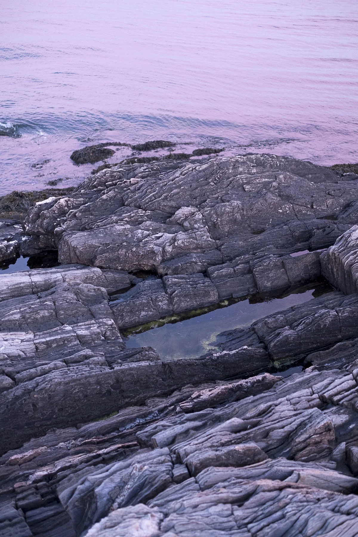  Pink Pool_DSF2242_1, 2017, Bailey Island Maine , 2017
Archival Inkjet Print
19 x 13 in | 48 x 33 cm