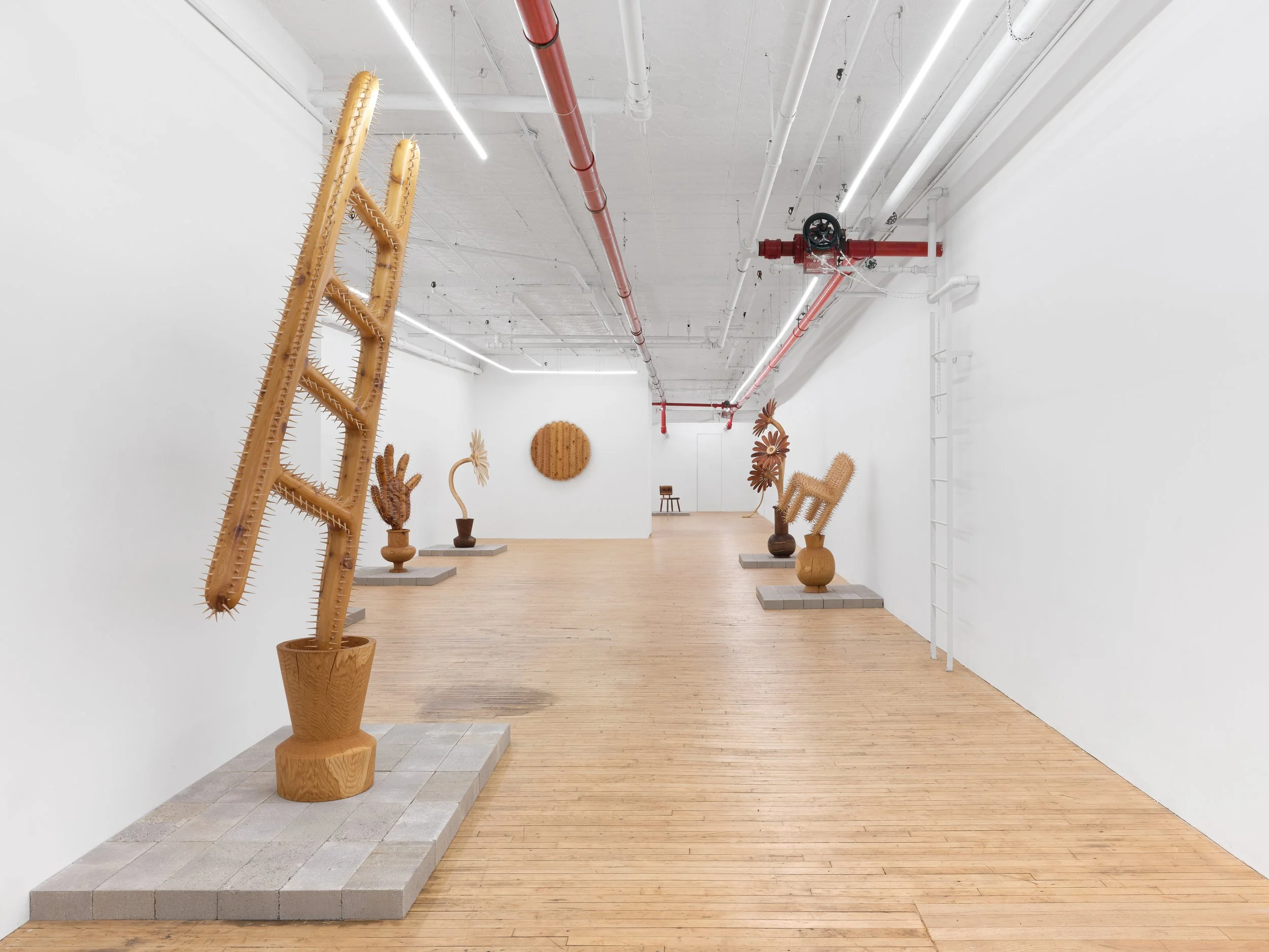 Installation view,  Between Roots , 2026