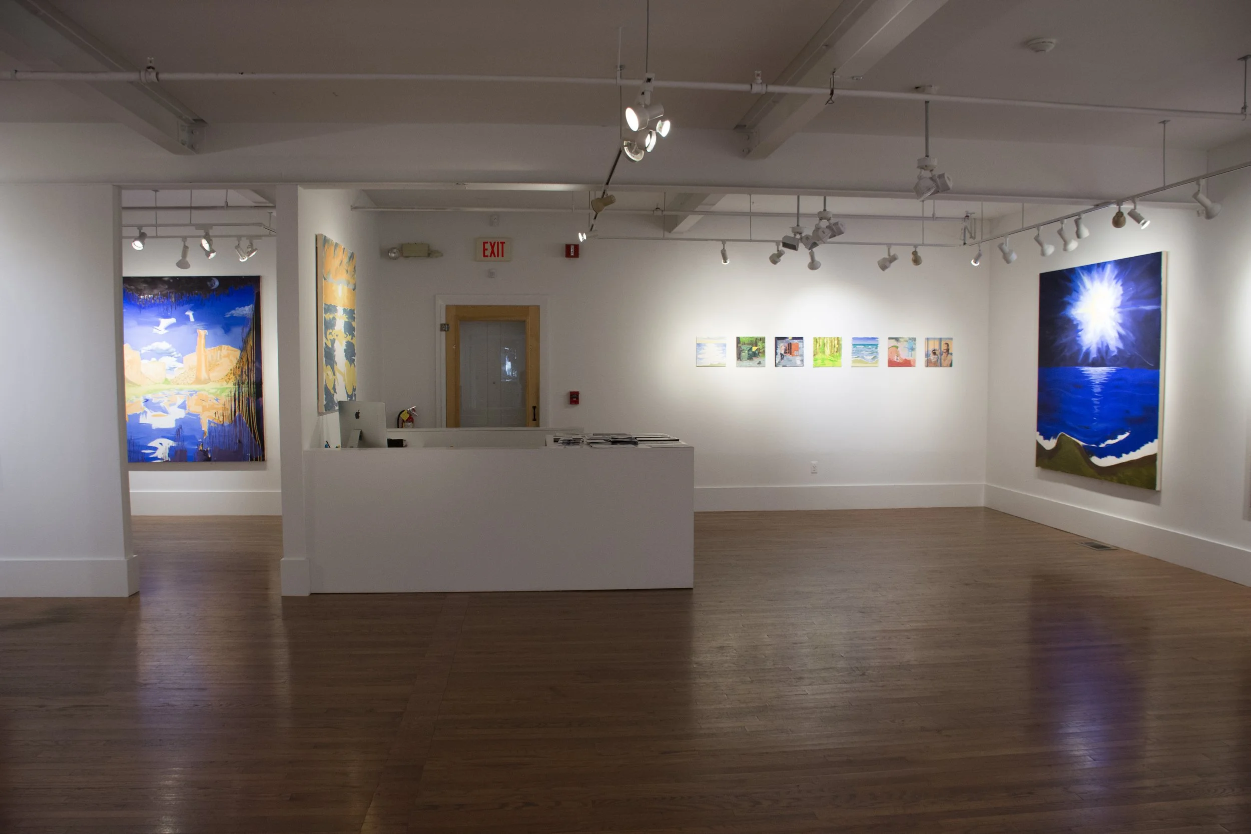 Installation view,  Bluer Than a Sky Weeping Bones , 2016