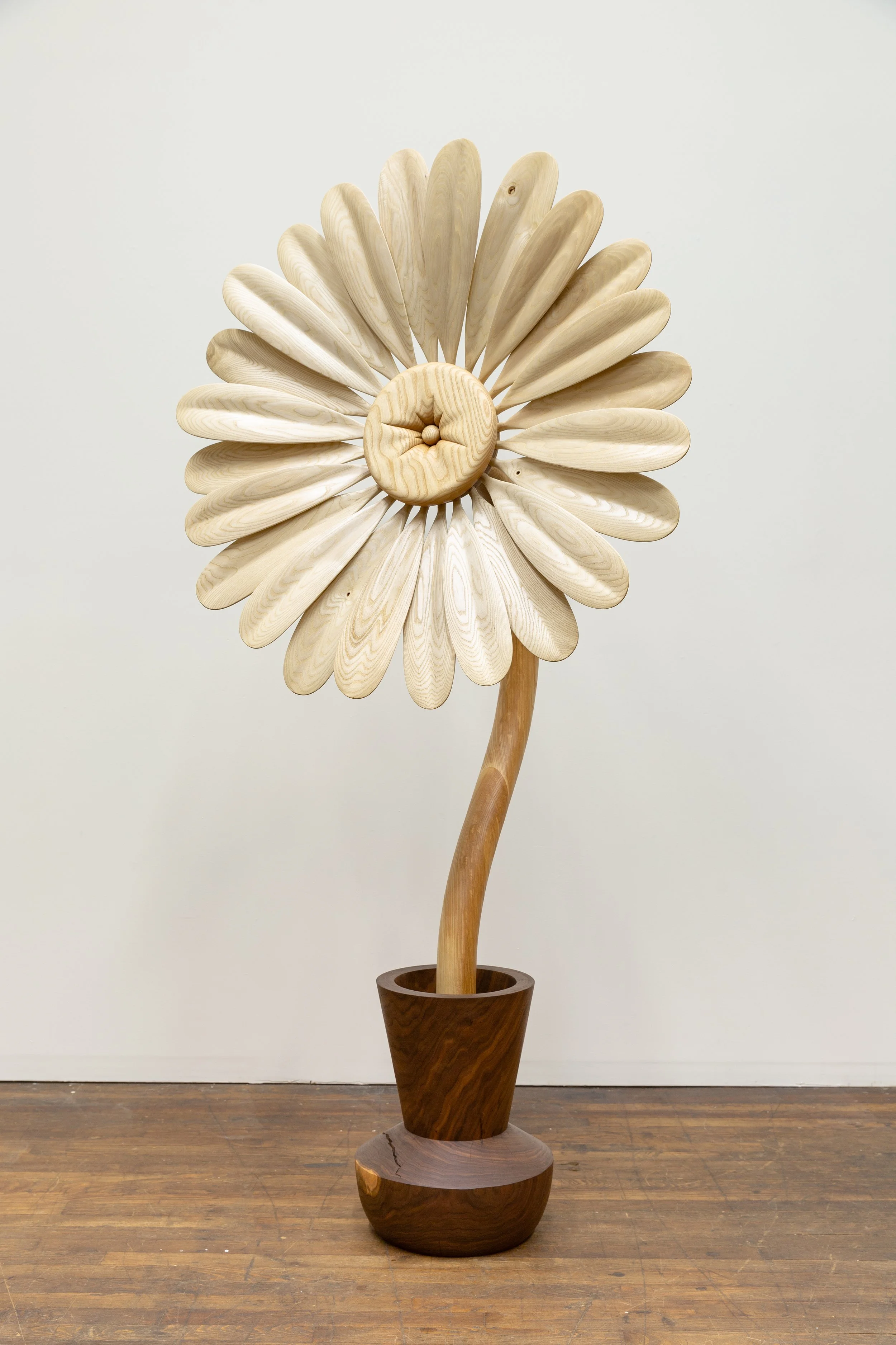  Lazy Daisy , 2025
Ash, walnut, polyx oil
77 x 23 x 39 in | 195.5 x 58.5 x 99 cm