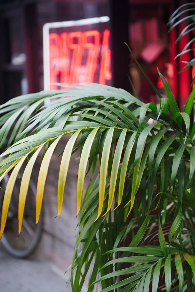  Untitled , 2015
Archival inkjet print
Dimensions variable