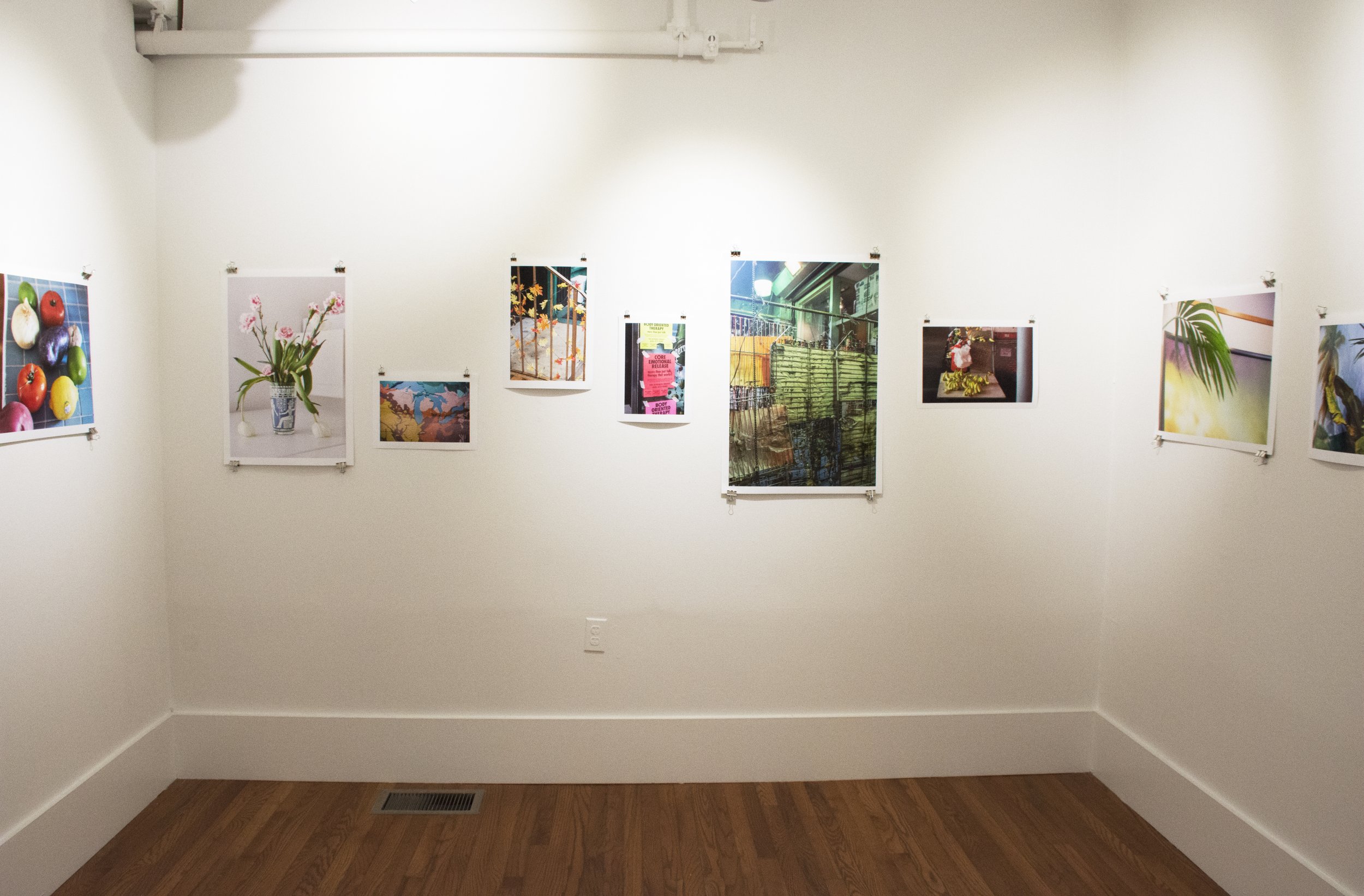 Installation view,  Ripe Bananas , 2016