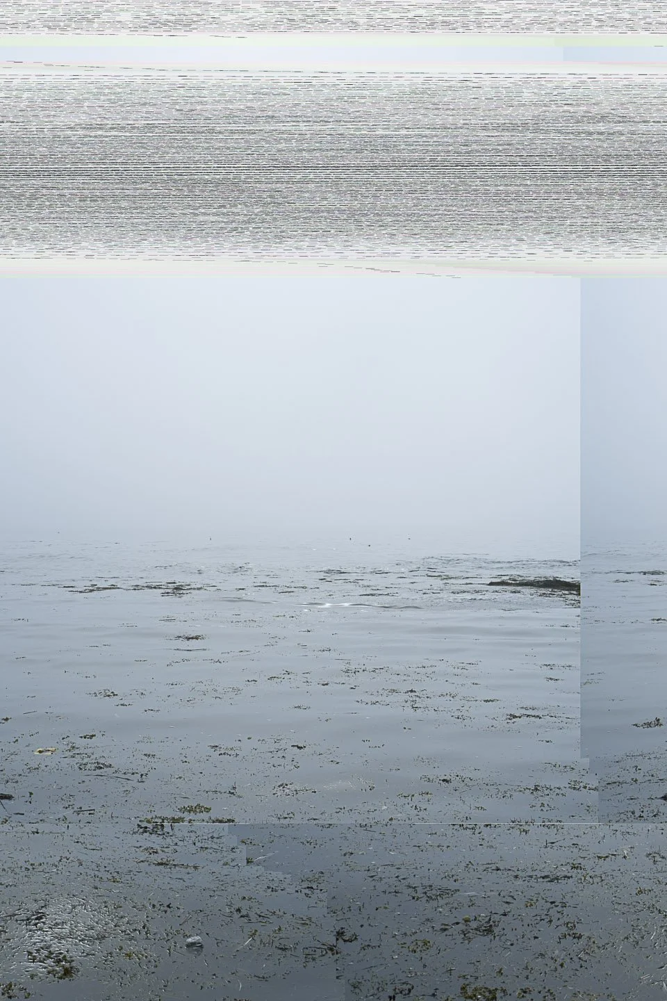  DSCF9297_4, Bailey Island, Maine , 2016
Archival inkjet print
19 x 13 in | 48 x 33 cm
Edition of 3 + 1 AP