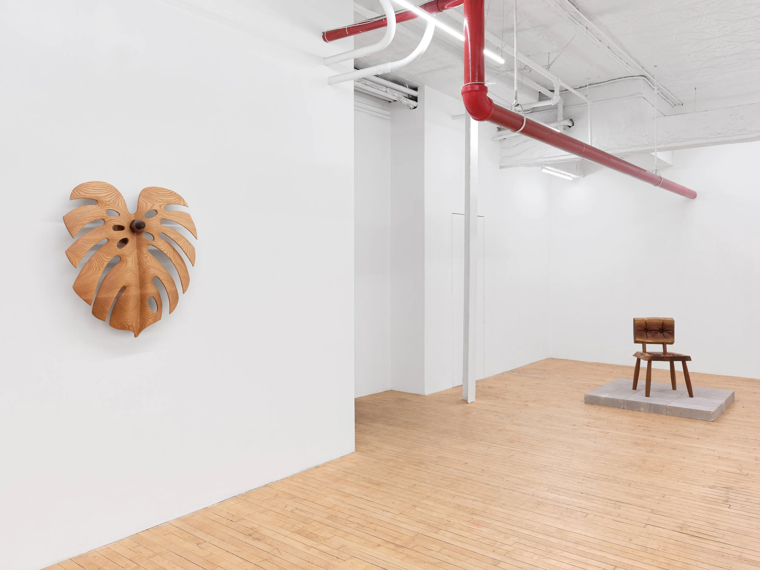 Installation view,  Between Roots , 2026