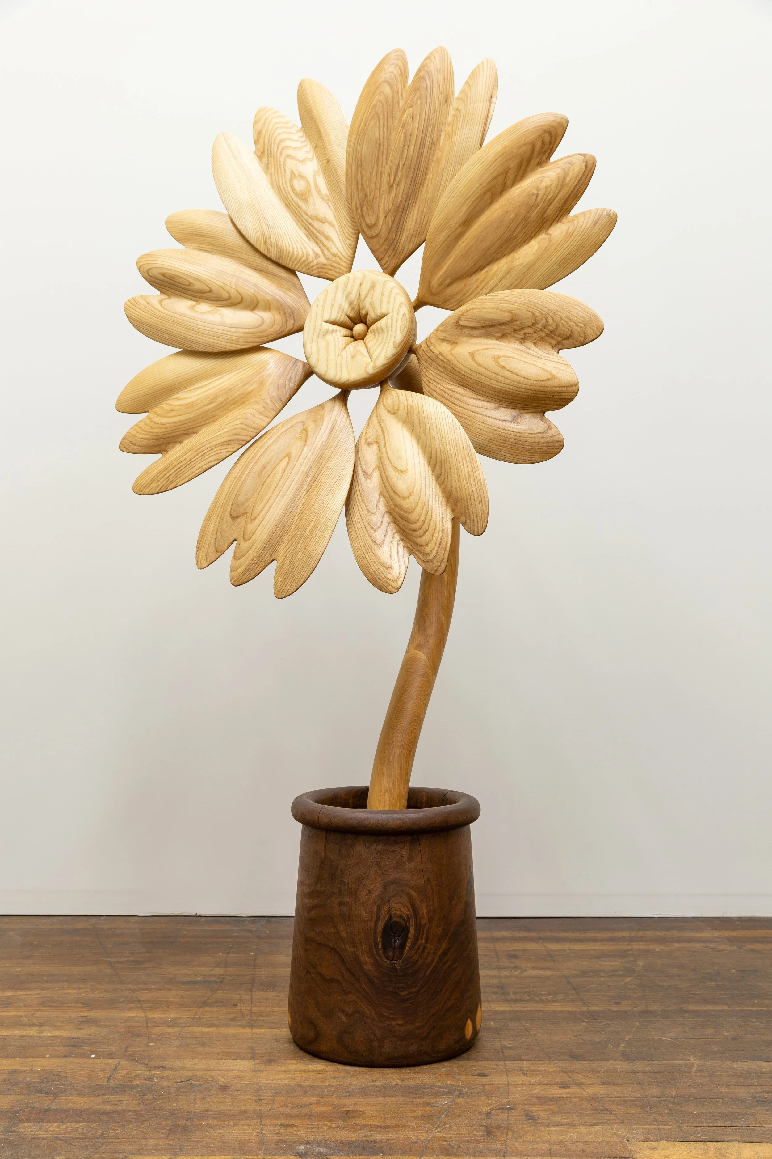  Firewheel , 2025
Ash, walnut
73 x 22 x 42 in | 185.5 x 56 x 106.5 cm