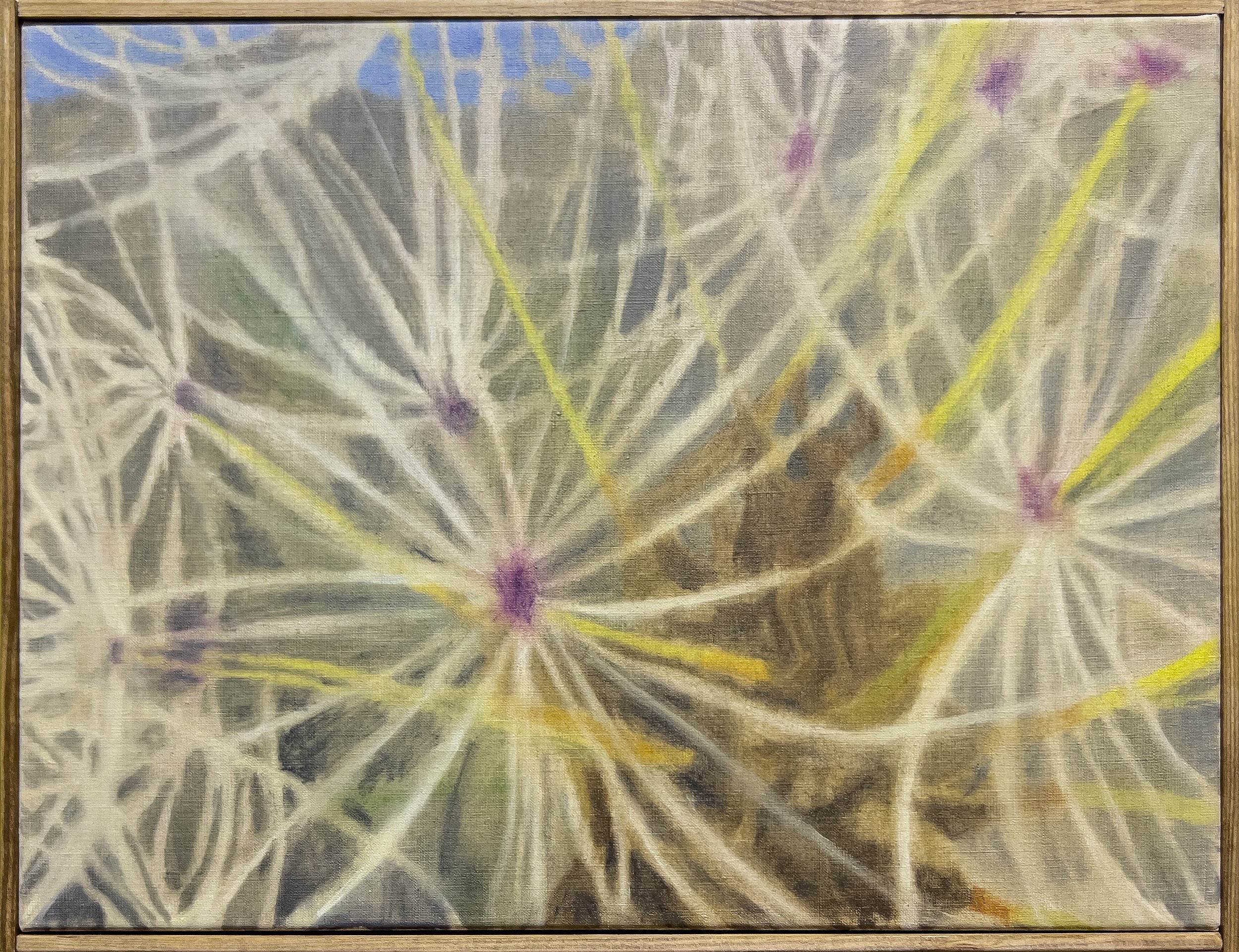   Bug's Life , 2026
Oil on linen, artist made pine frame
14 5/8 x 18 7/8 in | 37 x 48 cm