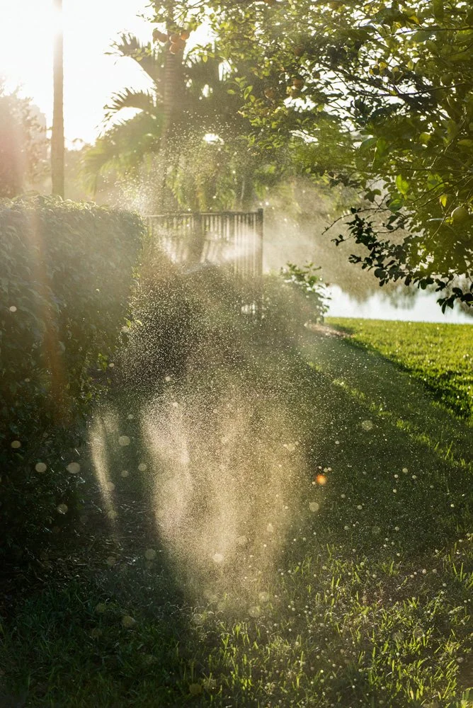  Untitled , 2014
Archival inkjet print
Dimensions variable