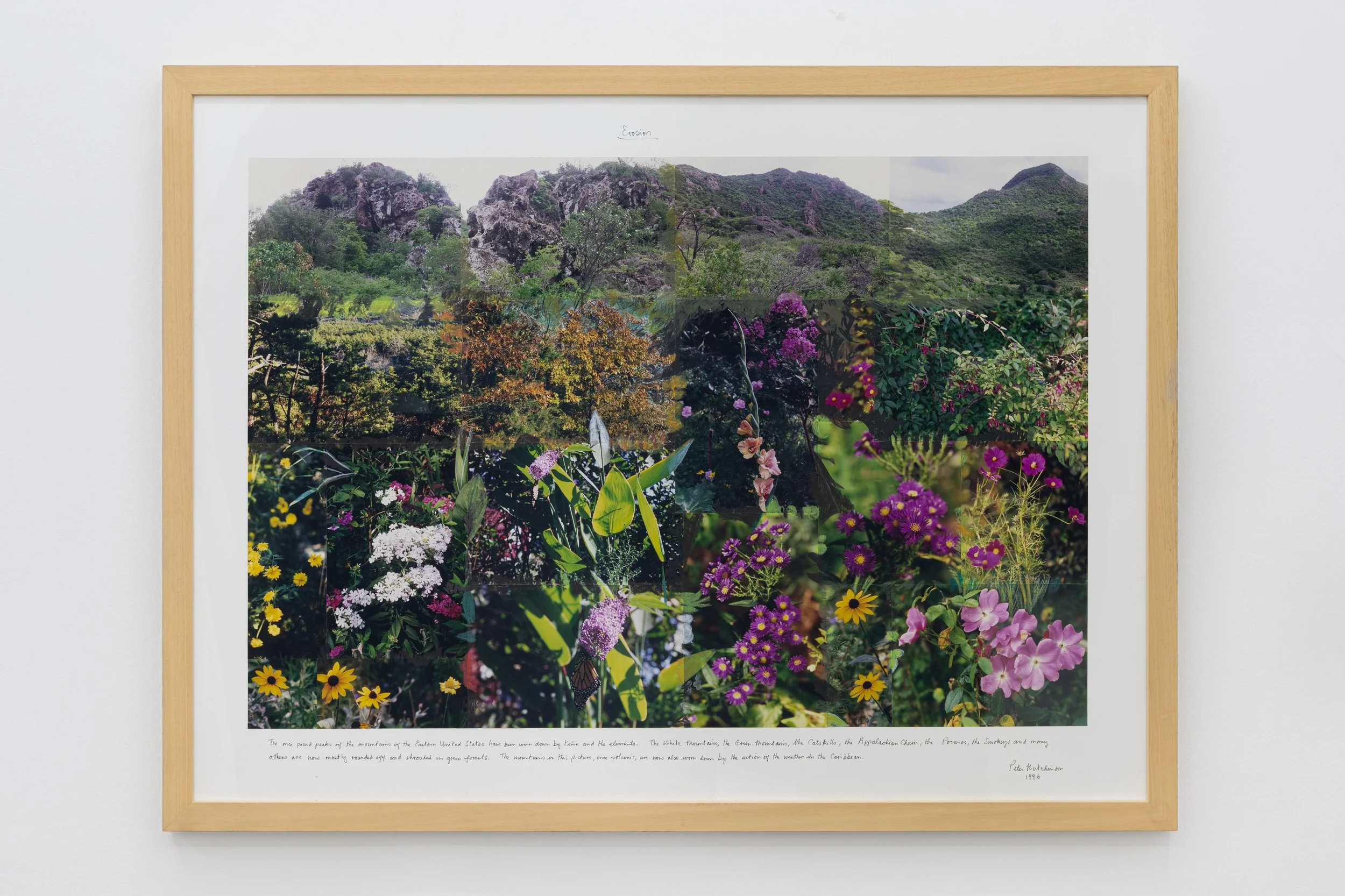  Erosion , 1996
Photo-collage, ink, text on cardboard
42 1/2 x 56 1/4 in | 105 x 140 cm
42 1/2 x 56 1/4 in (framed) | 108 x 143 cm (framed)