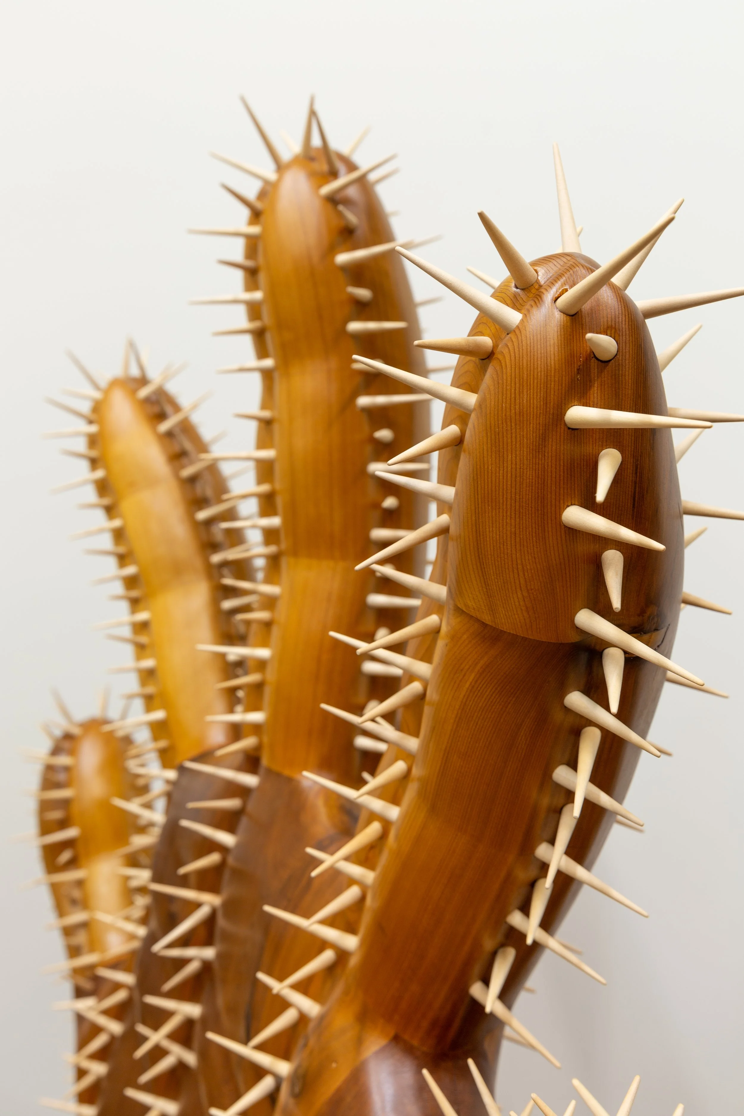  Mano de Obra (Detail) , 2025
Cedar, hemu, oak
65 x 16 x 42 in | 165 x 40.5 x 106.5 cm