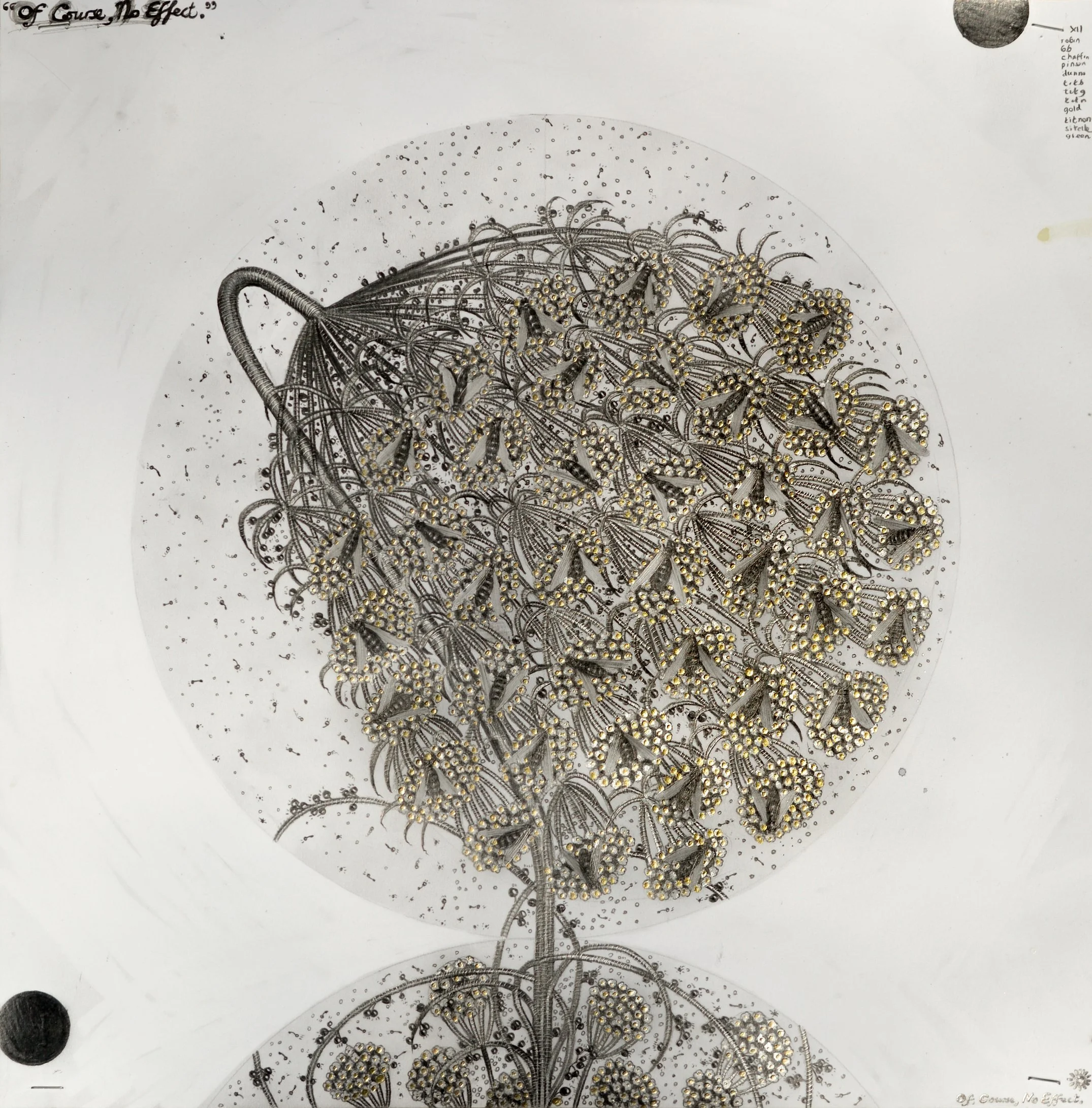  Capitule 30 , 2020
Graphite and silver ink on 220 g/m2 Fabriano 4 paper
42 x 40 cm / 16 1/2 x 15 3/4 in