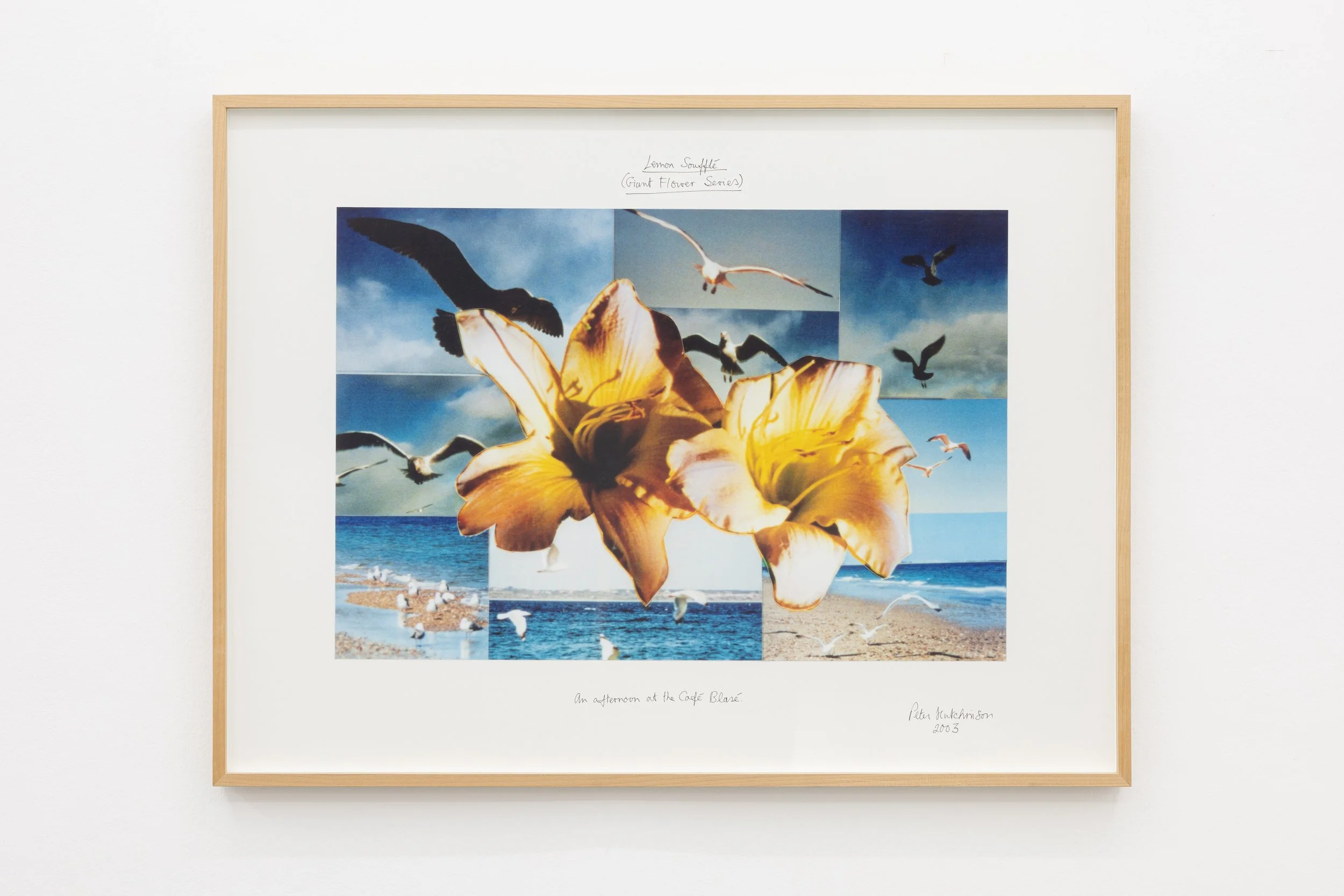  Lemon Souffle (Giant Flowers Series) , 2003
Photo-collage, ink, text on cardboard
29 1/2 x 39 3/8 in | 75 x 100 cm