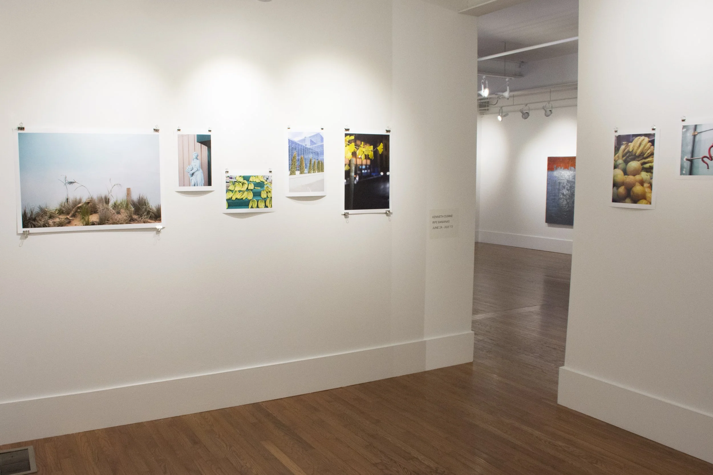 Installation view,  Ripe Bananas , 2016