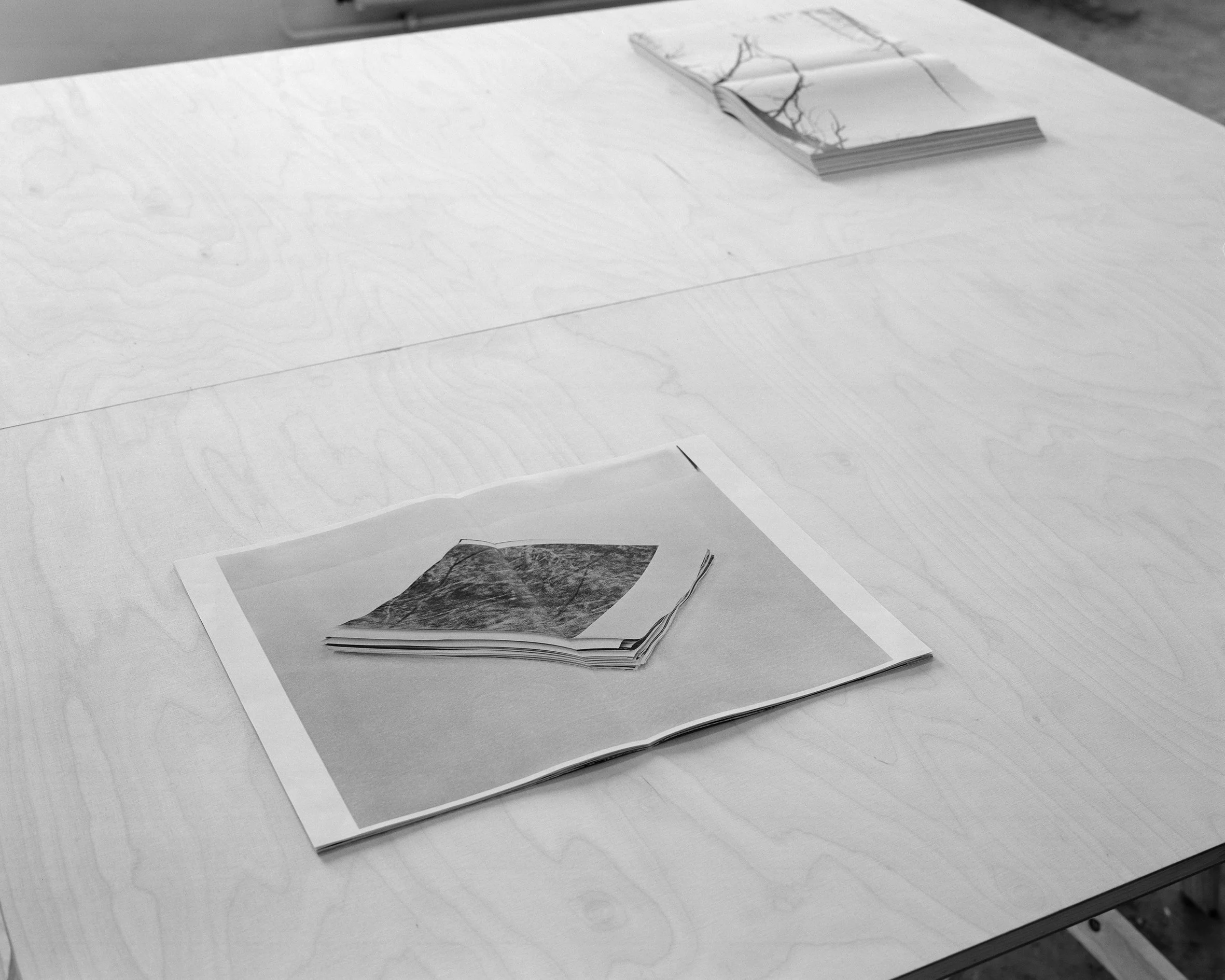 Sophia Hamann
 Heft , 2017
Laser prints on paper
11 1/2 x 16 1/2 | 29.5 x 42 cm in each